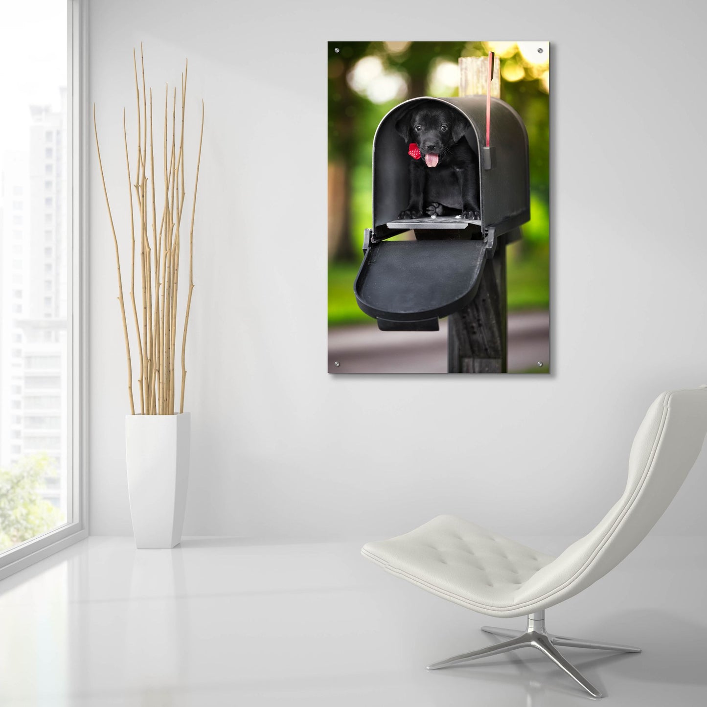 Epic Art 'Black Lab Special Delivery' by Jonathan Ross, Acrylic Glass Wall Art,24x36