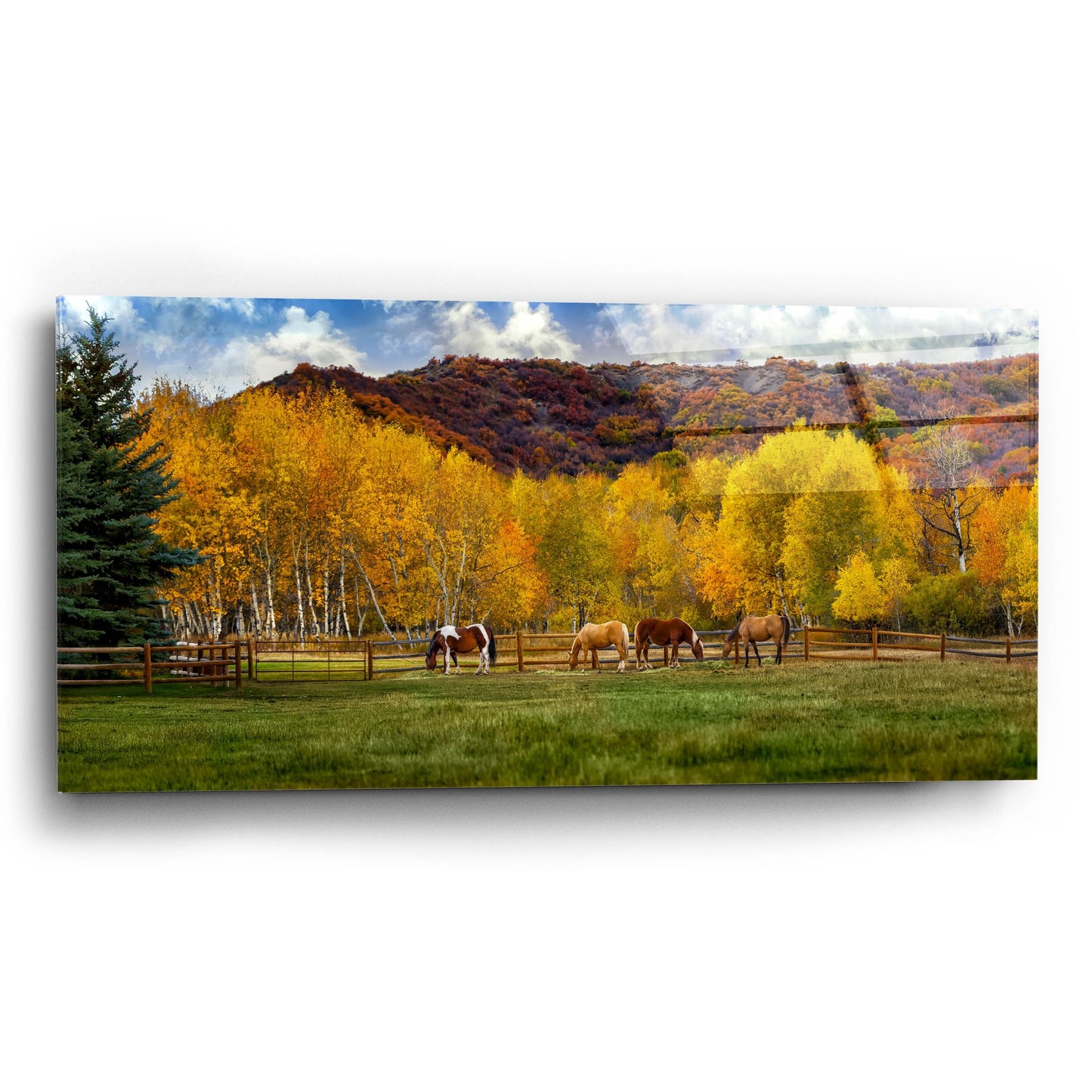 Epic Art 'Colorado Farm' by Jonathan Ross, Acrylic Glass Wall Art,24x12