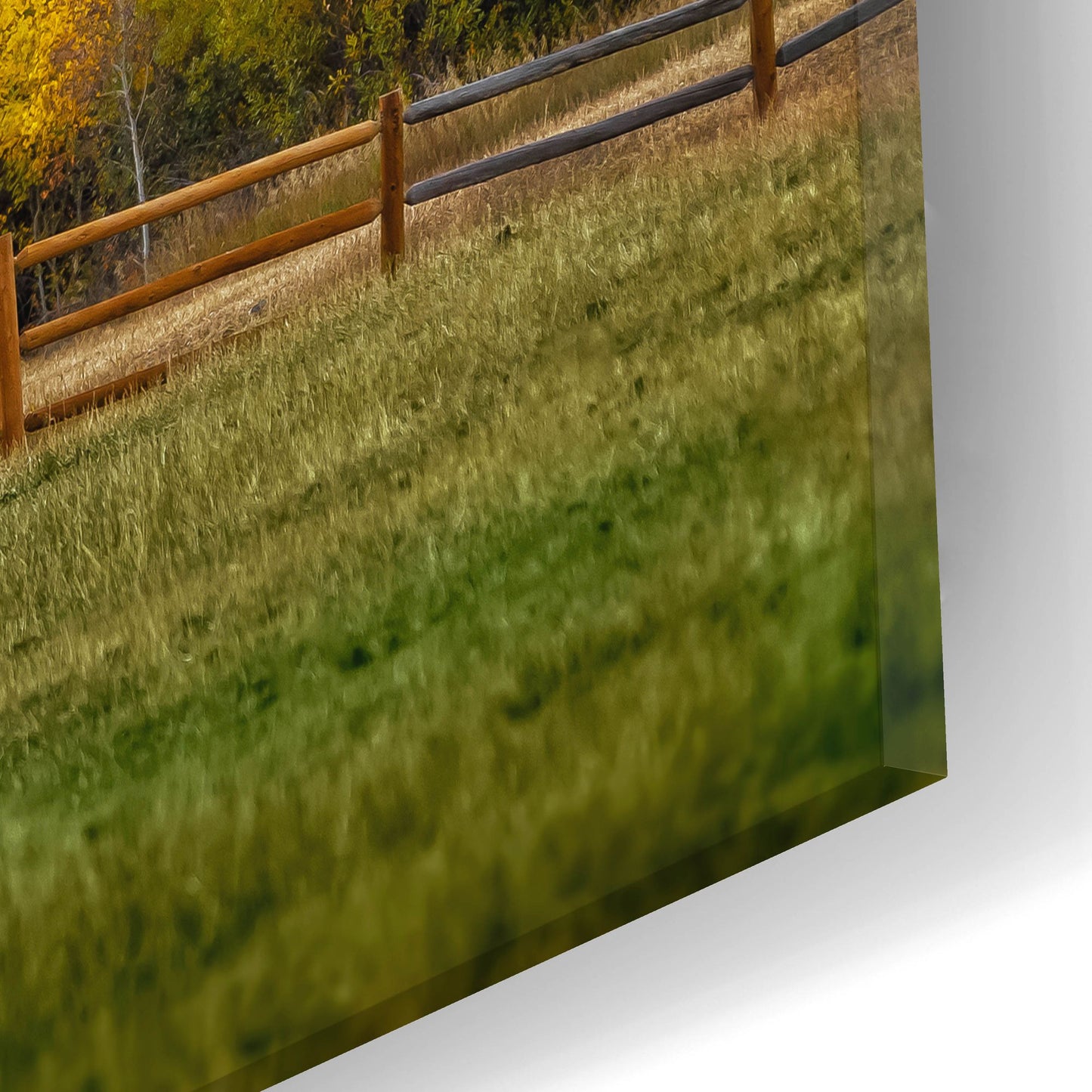 Epic Art 'Colorado Farm' by Jonathan Ross, Acrylic Glass Wall Art,24x12