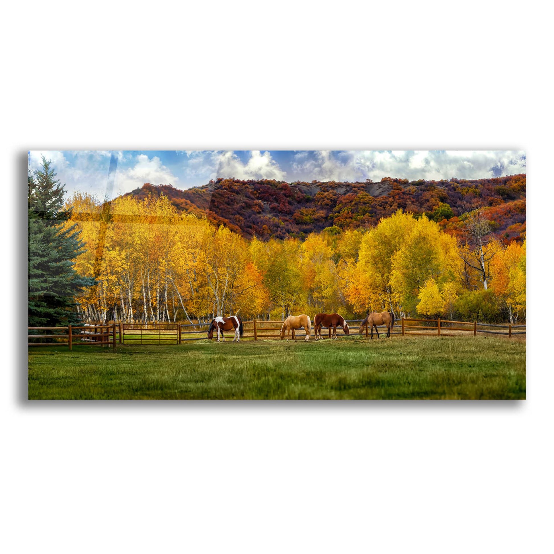 Epic Art 'Colorado Farm' by Jonathan Ross, Acrylic Glass Wall Art,24x12