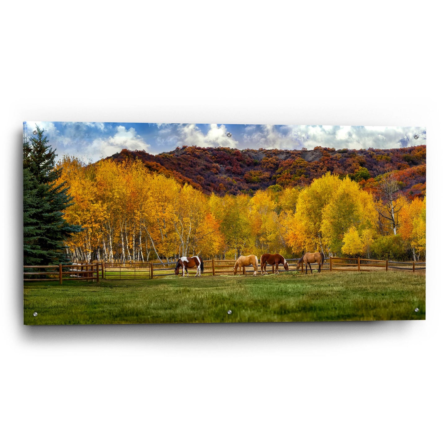 Epic Art 'Colorado Farm' by Jonathan Ross, Acrylic Glass Wall Art,48x24