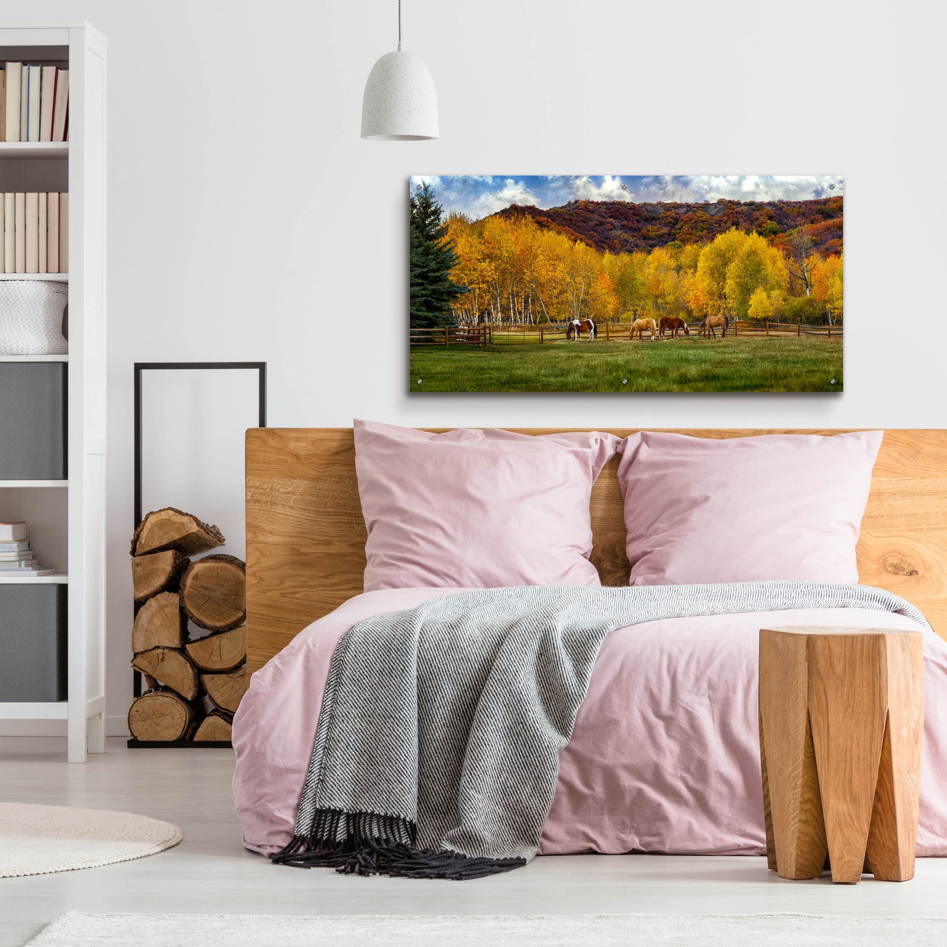 Epic Art 'Colorado Farm' by Jonathan Ross, Acrylic Glass Wall Art,48x24