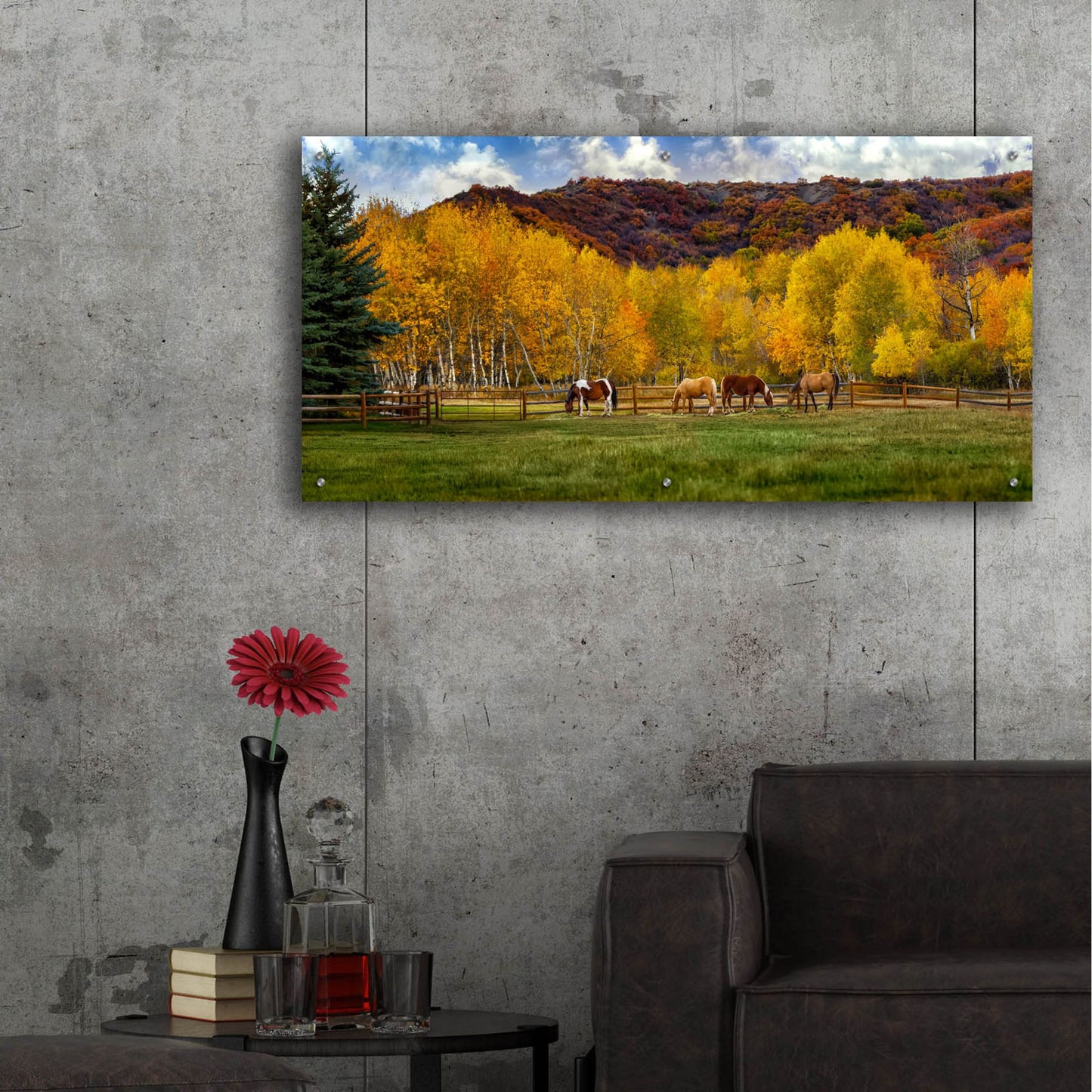 Epic Art 'Colorado Farm' by Jonathan Ross, Acrylic Glass Wall Art,48x24