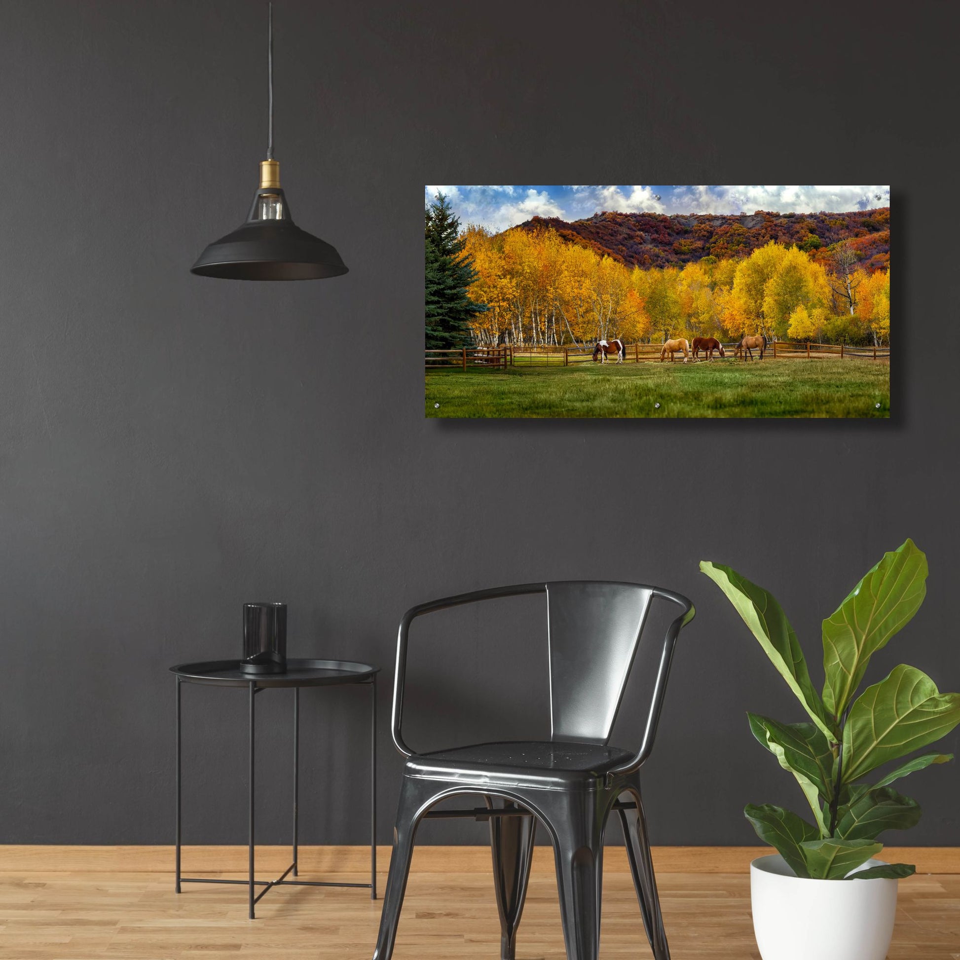 Epic Art 'Colorado Farm' by Jonathan Ross, Acrylic Glass Wall Art,48x24