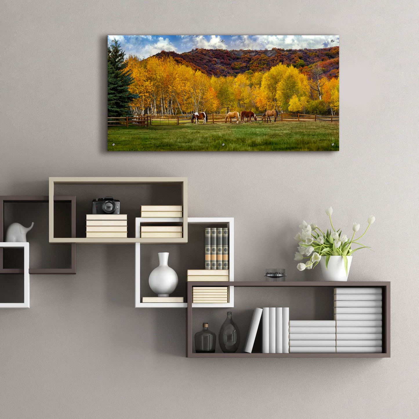 Epic Art 'Colorado Farm' by Jonathan Ross, Acrylic Glass Wall Art,48x24