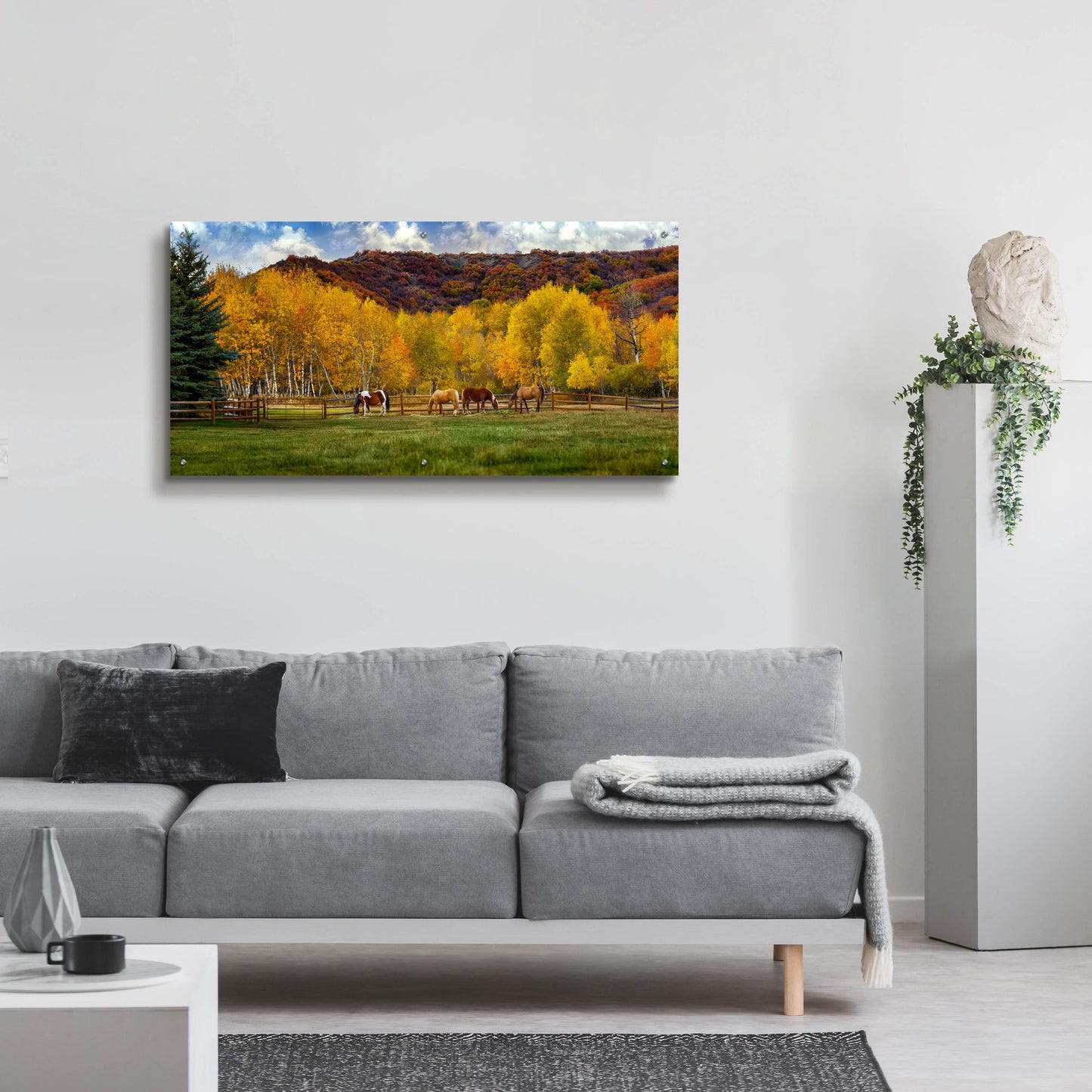 Epic Art 'Colorado Farm' by Jonathan Ross, Acrylic Glass Wall Art,48x24