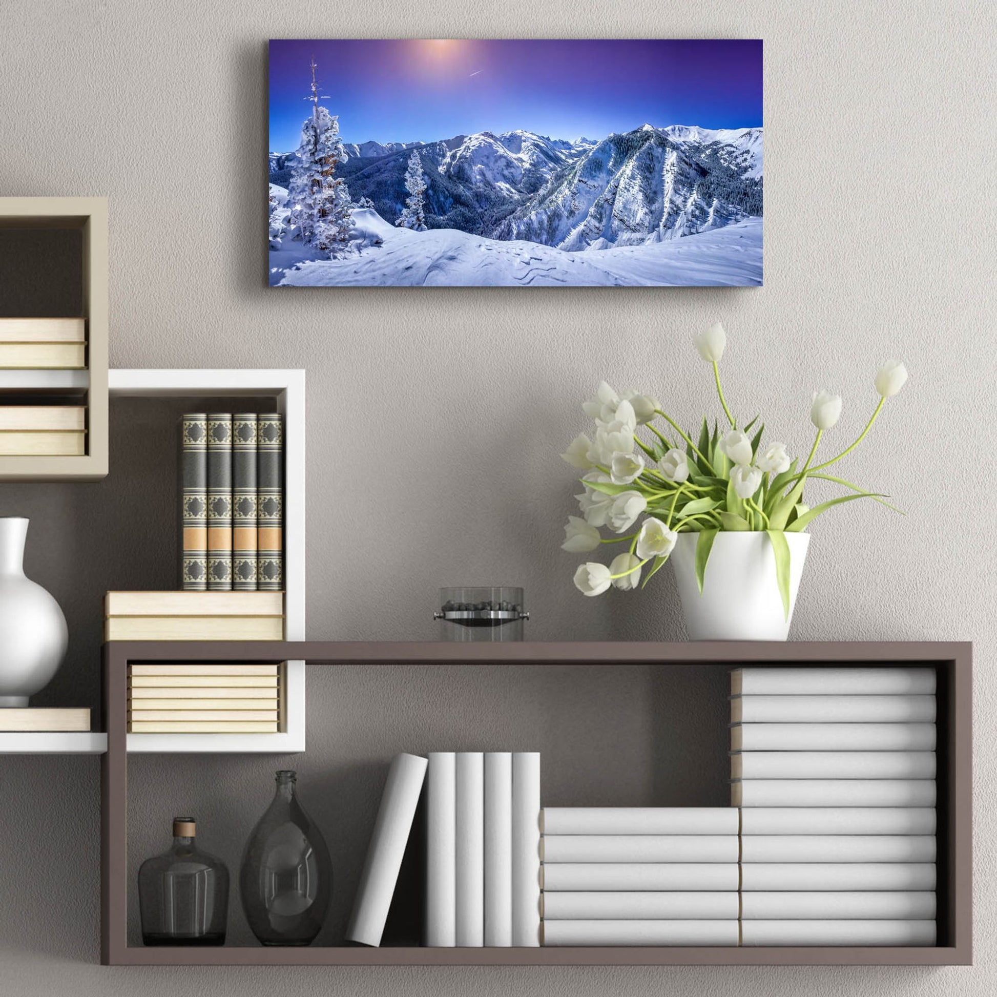 Epic Art 'Colorado Snow' by Jonathan Ross, Acrylic Glass Wall Art,24x12