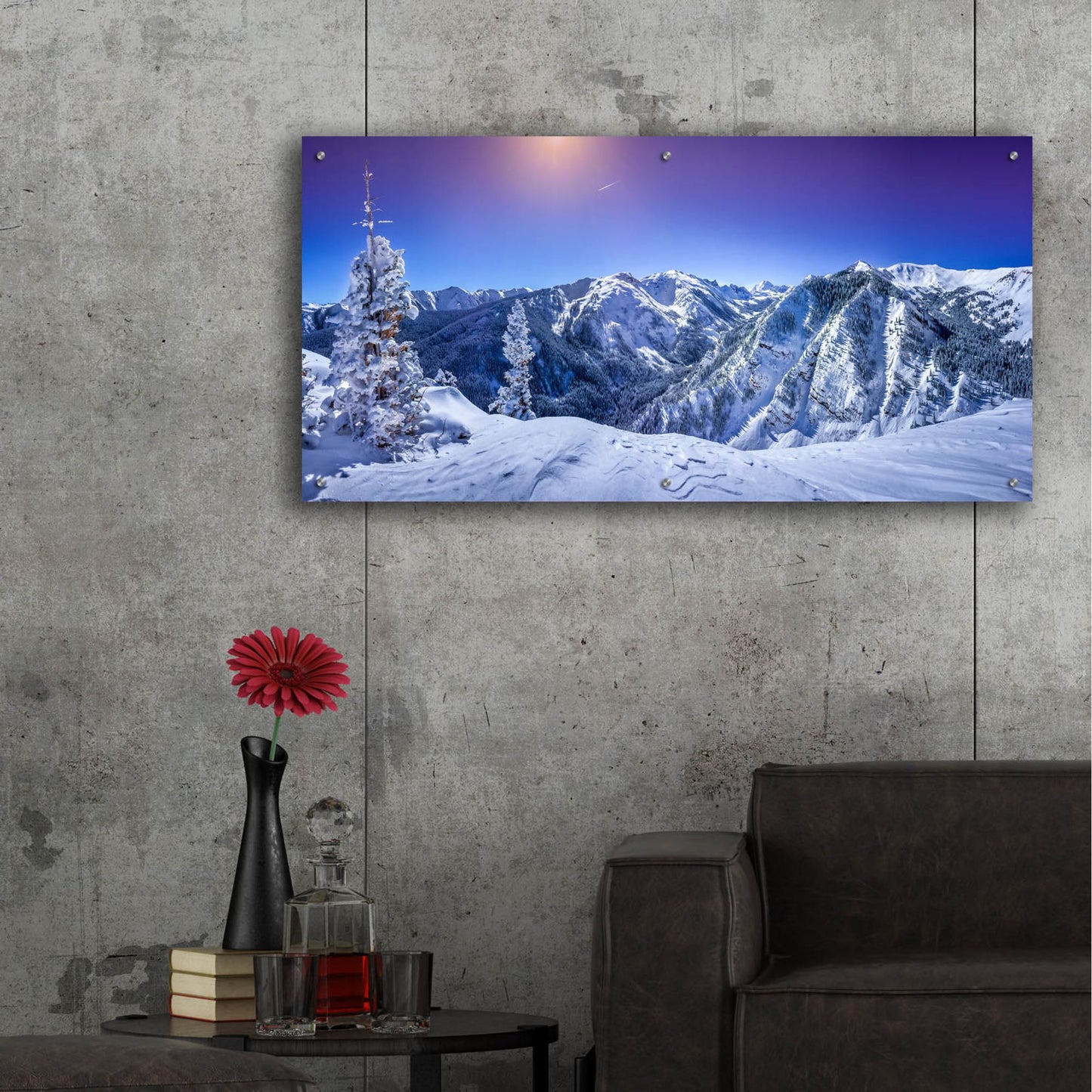 Epic Art 'Colorado Snow' by Jonathan Ross, Acrylic Glass Wall Art,48x24