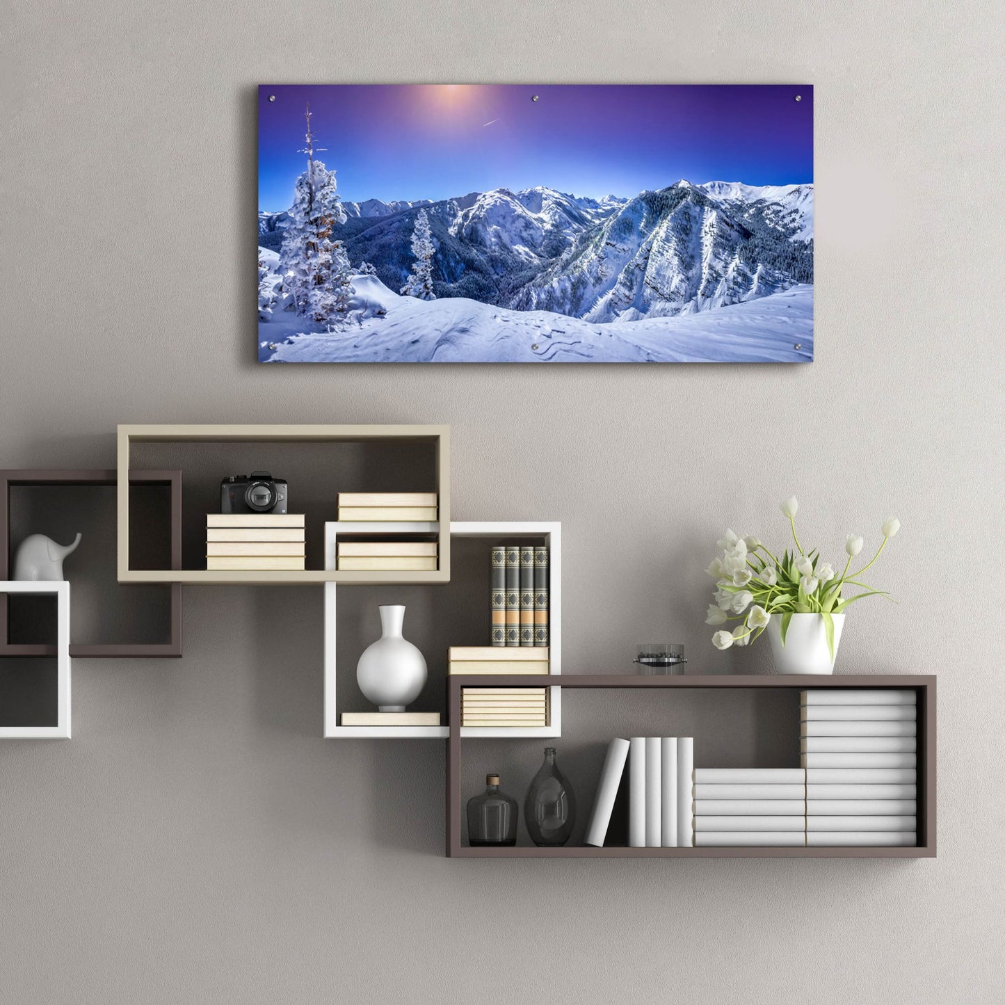 Epic Art 'Colorado Snow' by Jonathan Ross, Acrylic Glass Wall Art,48x24