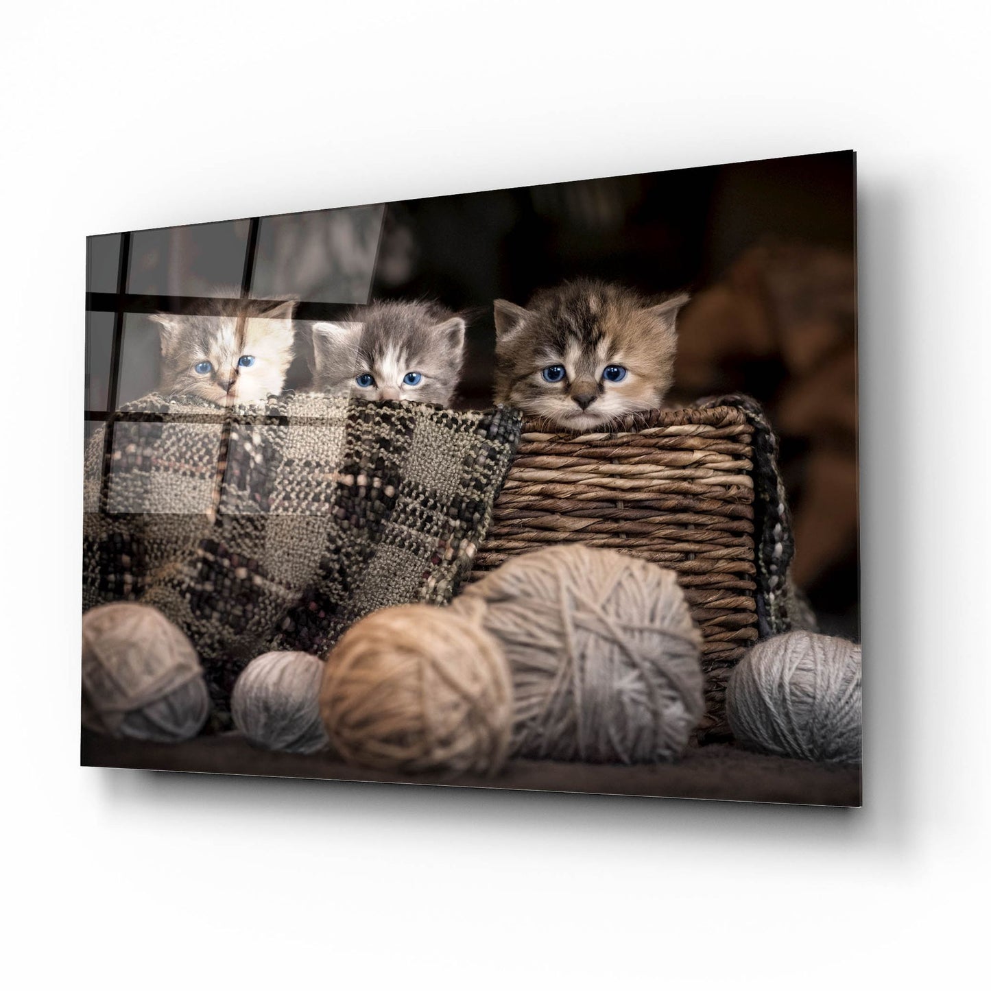 Epic Art 'Kittens In A Basket' by Jonathan Ross, Acrylic Glass Wall Art,16x12