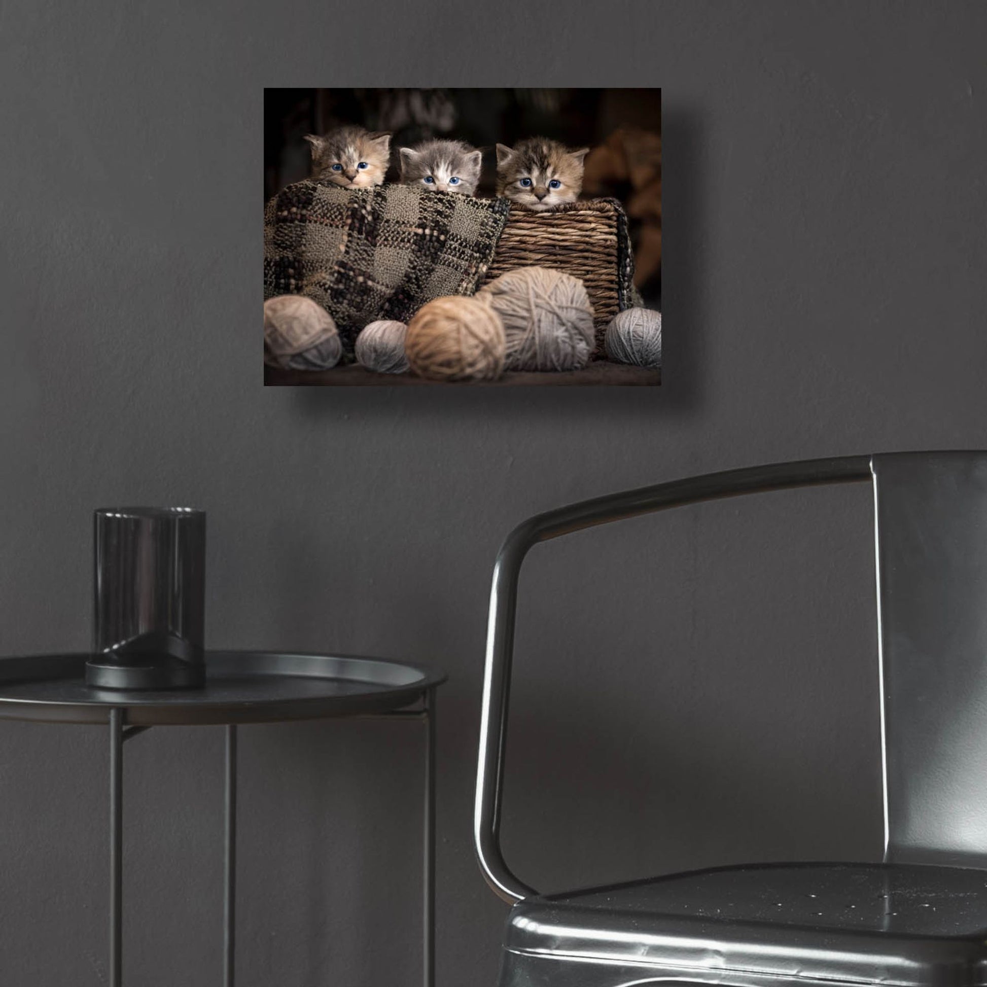 Epic Art 'Kittens In A Basket' by Jonathan Ross, Acrylic Glass Wall Art,16x12