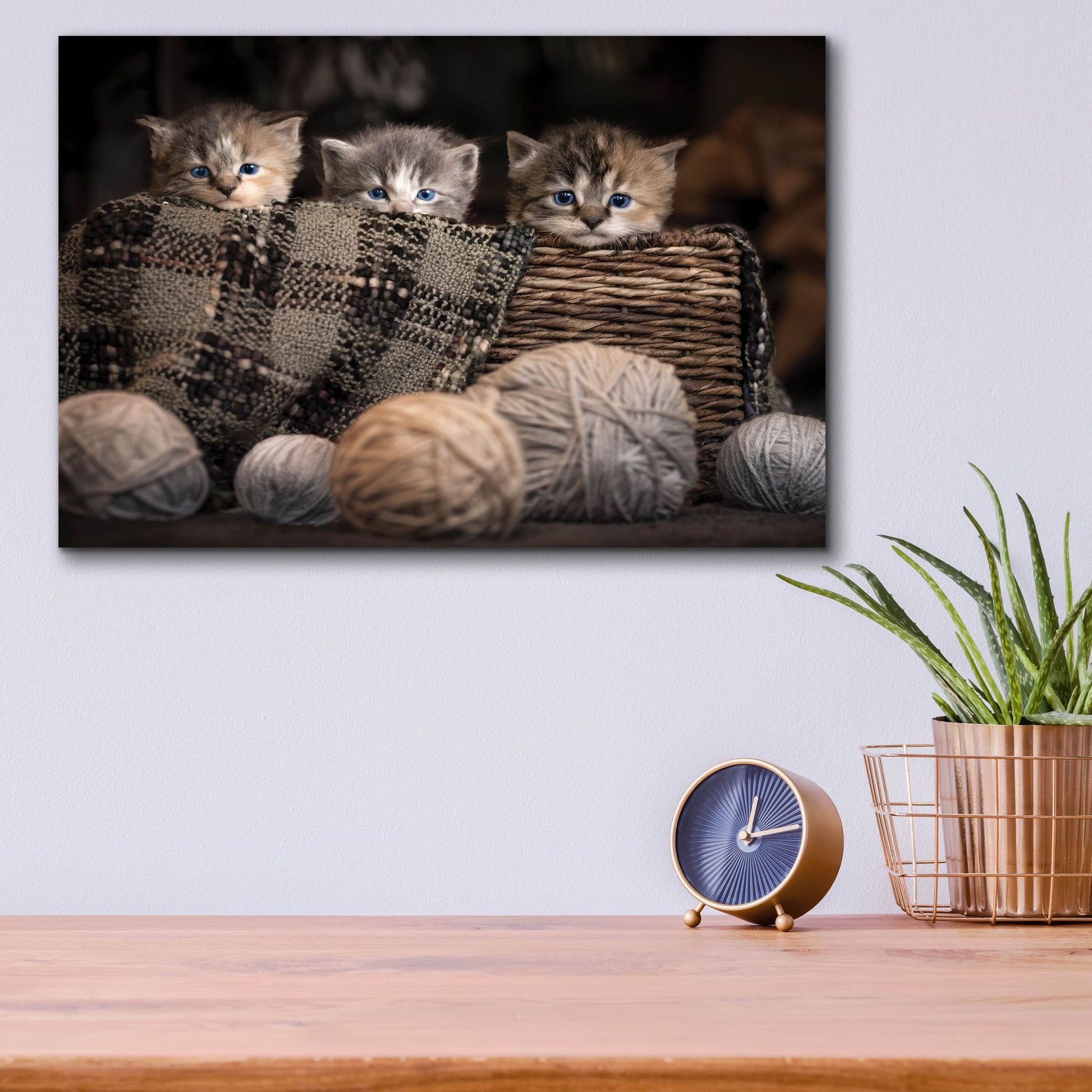 Epic Art 'Kittens In A Basket' by Jonathan Ross, Acrylic Glass Wall Art,16x12