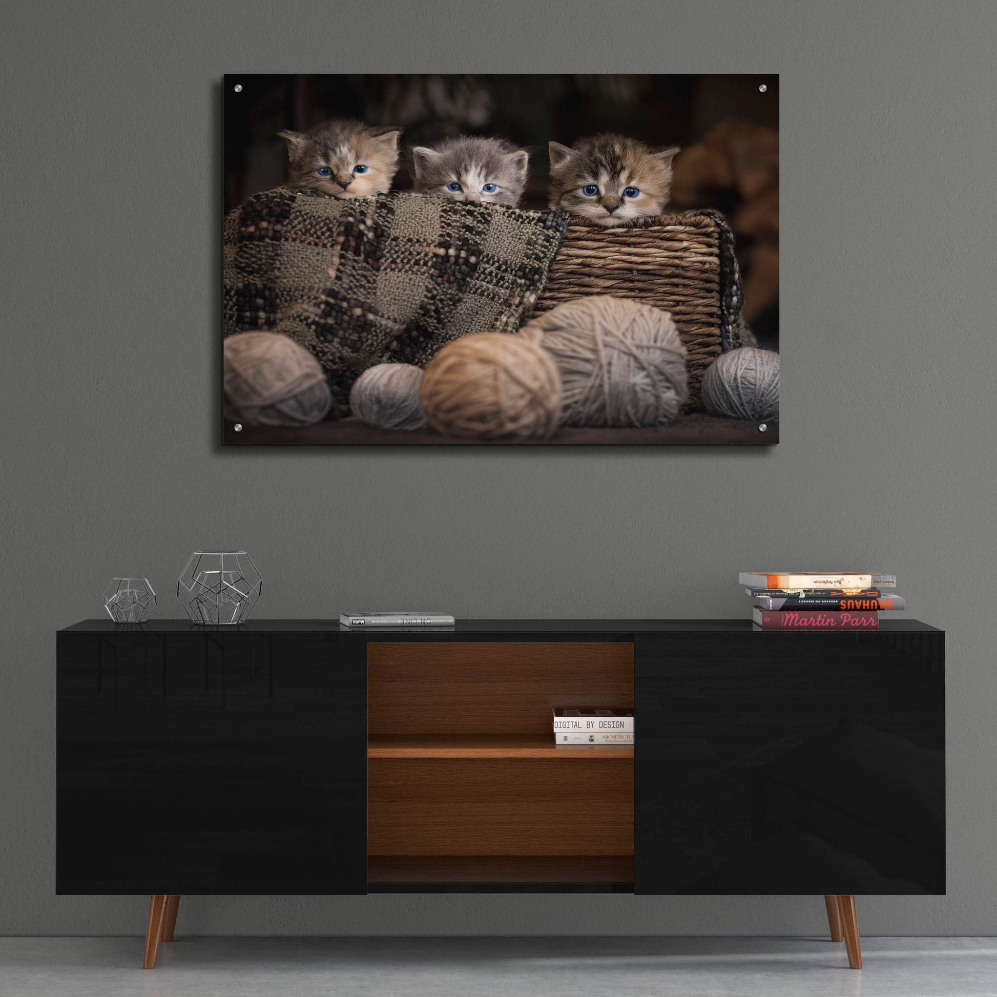 Epic Art 'Kittens In A Basket' by Jonathan Ross, Acrylic Glass Wall Art,36x24