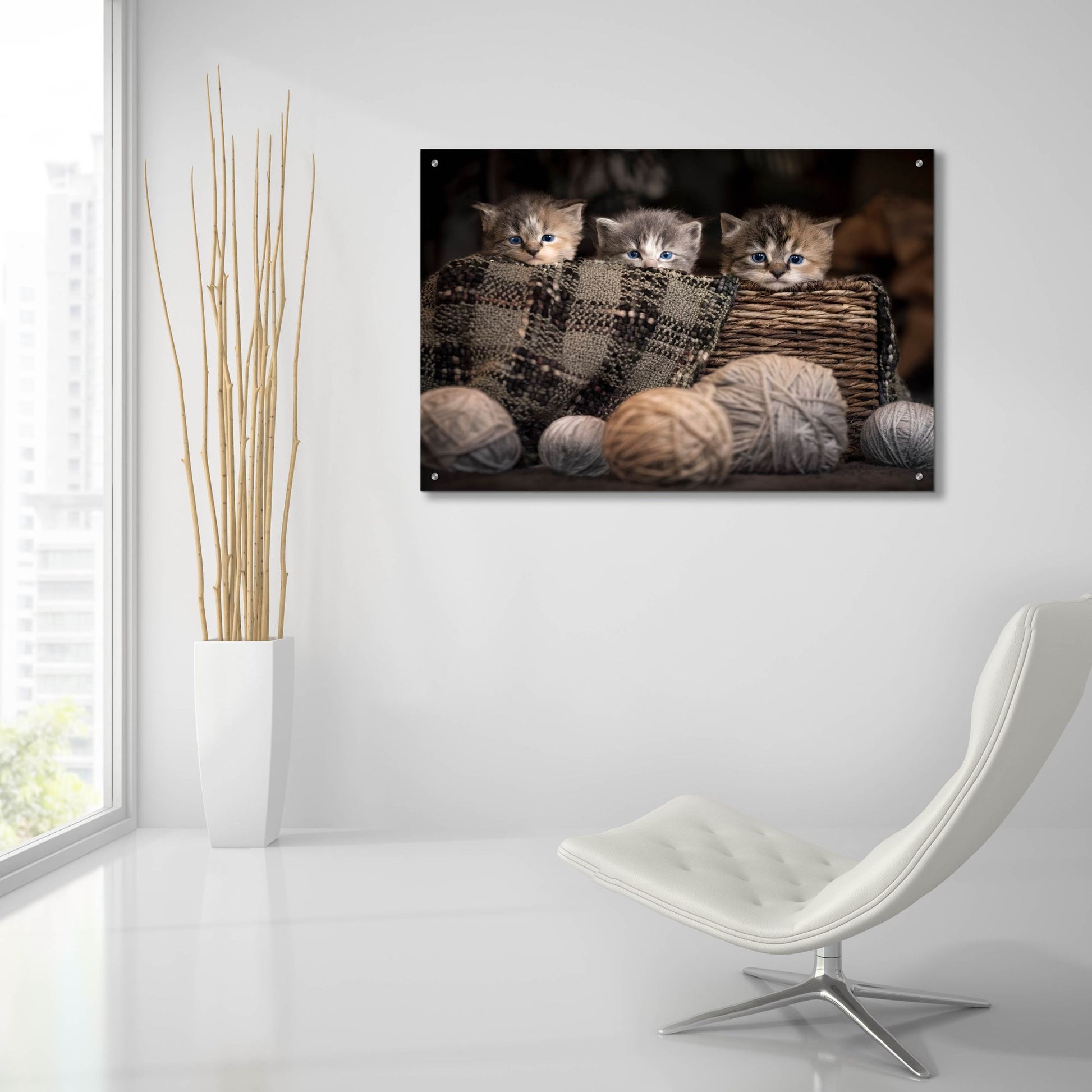 Epic Art 'Kittens In A Basket' by Jonathan Ross, Acrylic Glass Wall Art,36x24