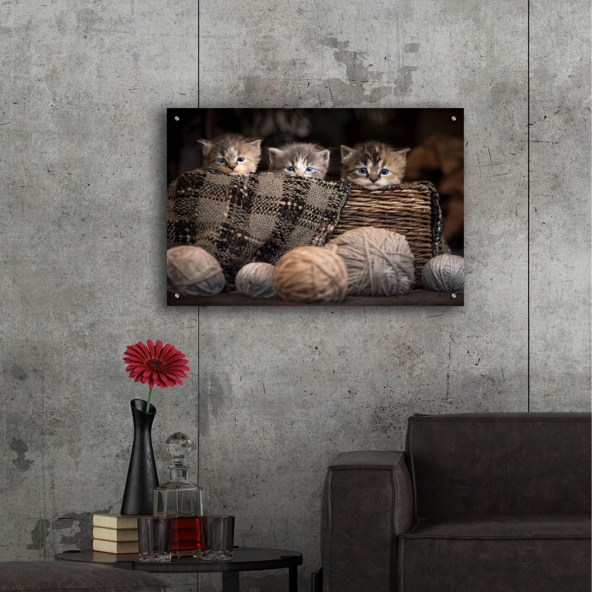 Epic Art 'Kittens In A Basket' by Jonathan Ross, Acrylic Glass Wall Art,36x24