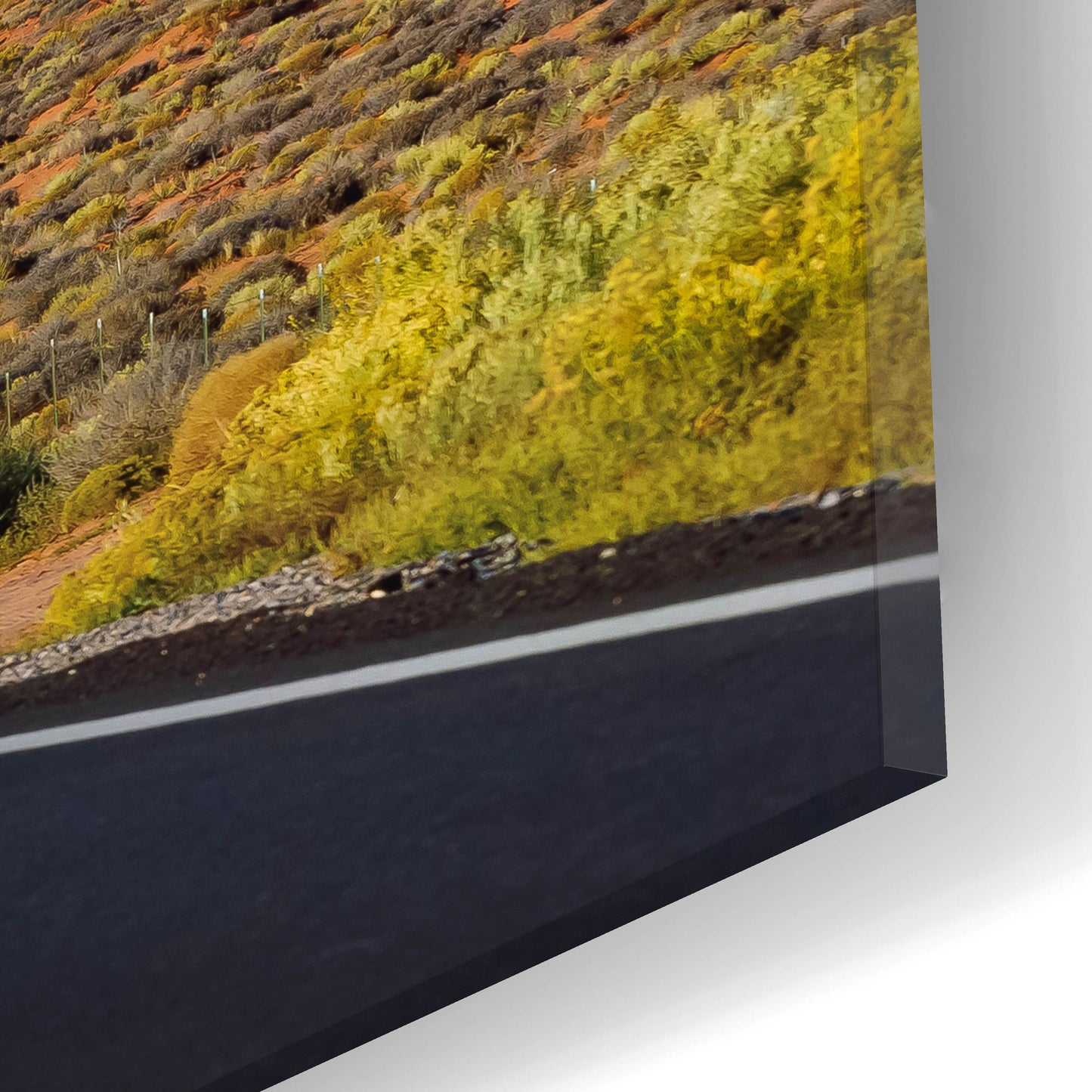 Epic Art 'Monument Valley Road' by Jonathan Ross, Acrylic Glass Wall Art,24x12