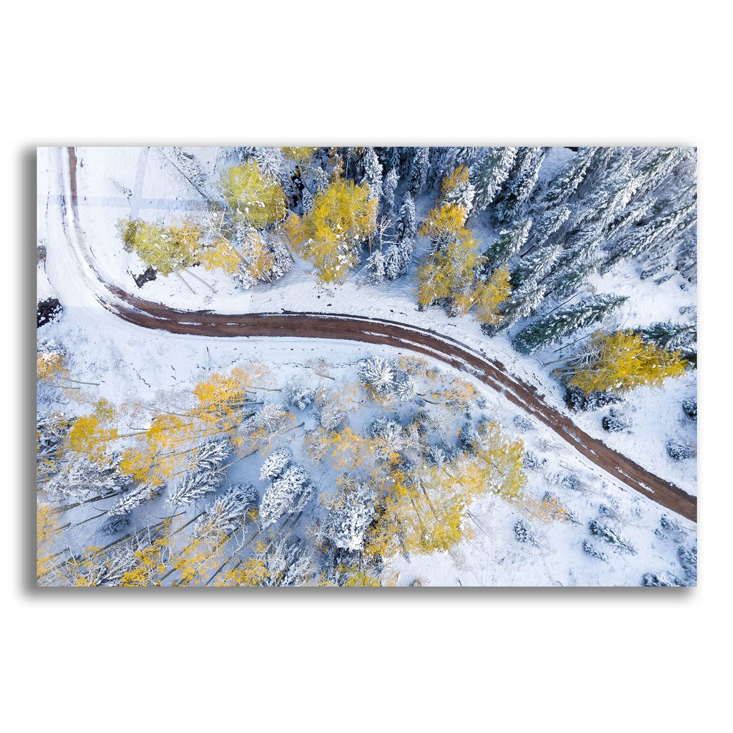Epic Art 'Snowmass Road' by Jonathan Ross, Acrylic Glass Wall Art,24x16