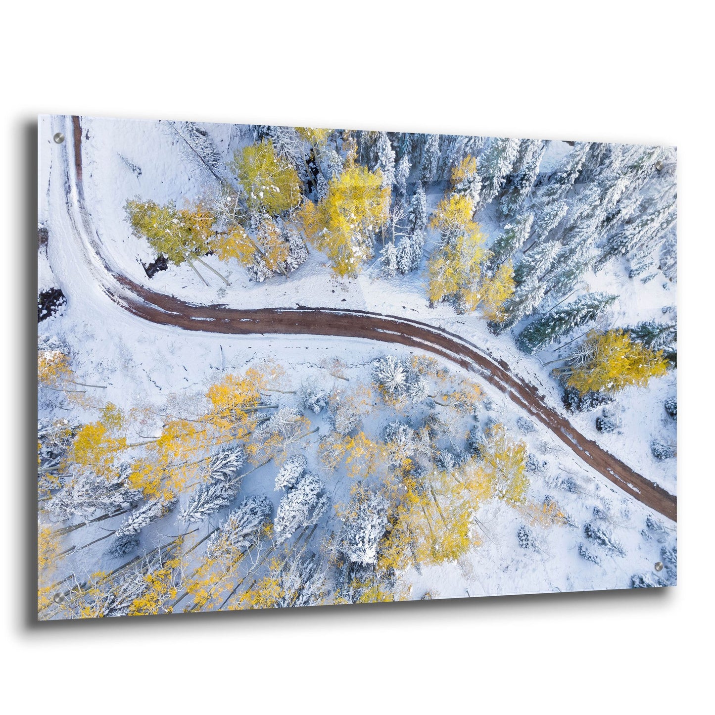 Epic Art 'Snowmass Road' by Jonathan Ross, Acrylic Glass Wall Art,36x24