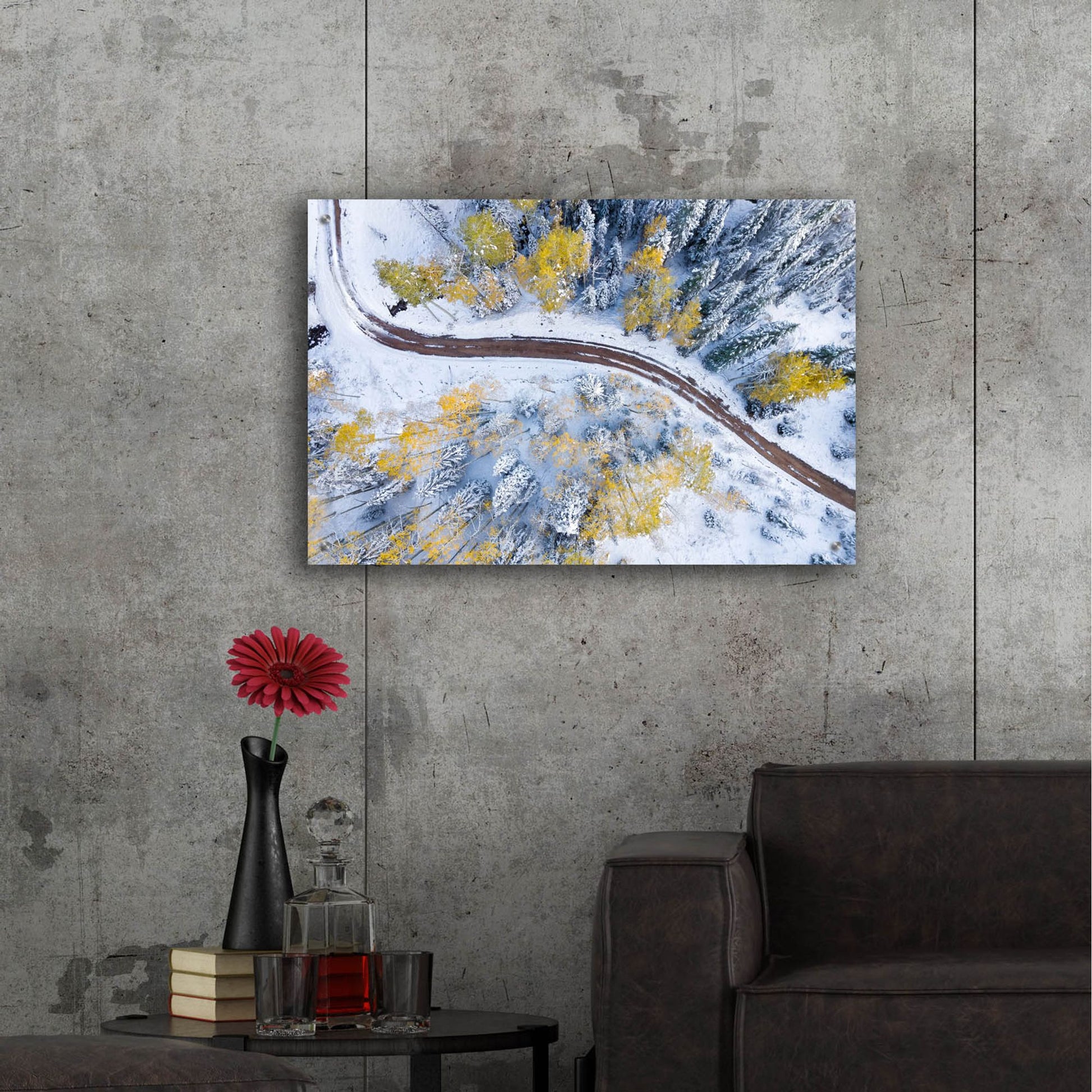 Epic Art 'Snowmass Road' by Jonathan Ross, Acrylic Glass Wall Art,36x24