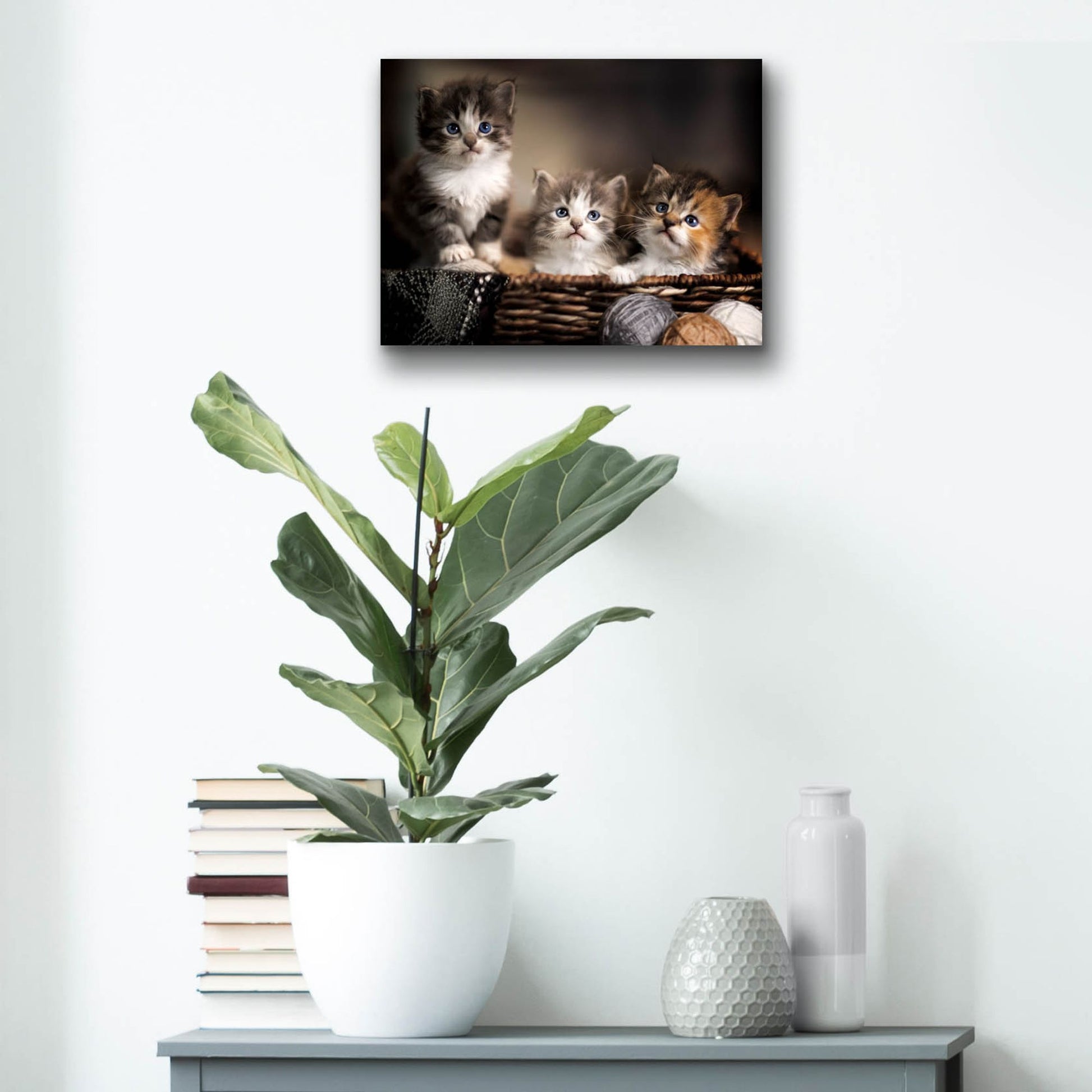 Epic Art 'Three Kittens' by Jonathan Ross, Acrylic Glass Wall Art,16x12