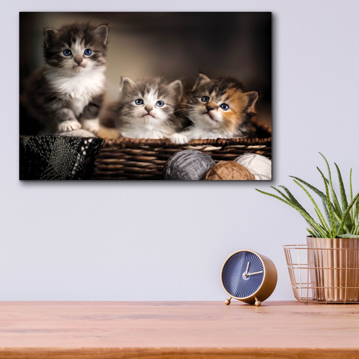 Epic Art 'Three Kittens' by Jonathan Ross, Acrylic Glass Wall Art,16x12