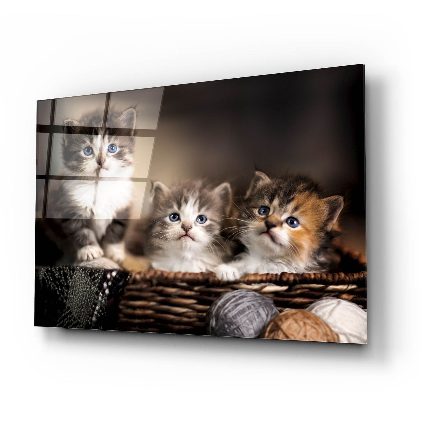 Epic Art 'Three Kittens' by Jonathan Ross, Acrylic Glass Wall Art,24x16