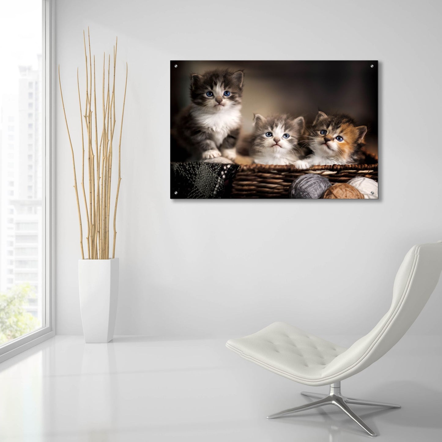 Epic Art 'Three Kittens' by Jonathan Ross, Acrylic Glass Wall Art,36x24