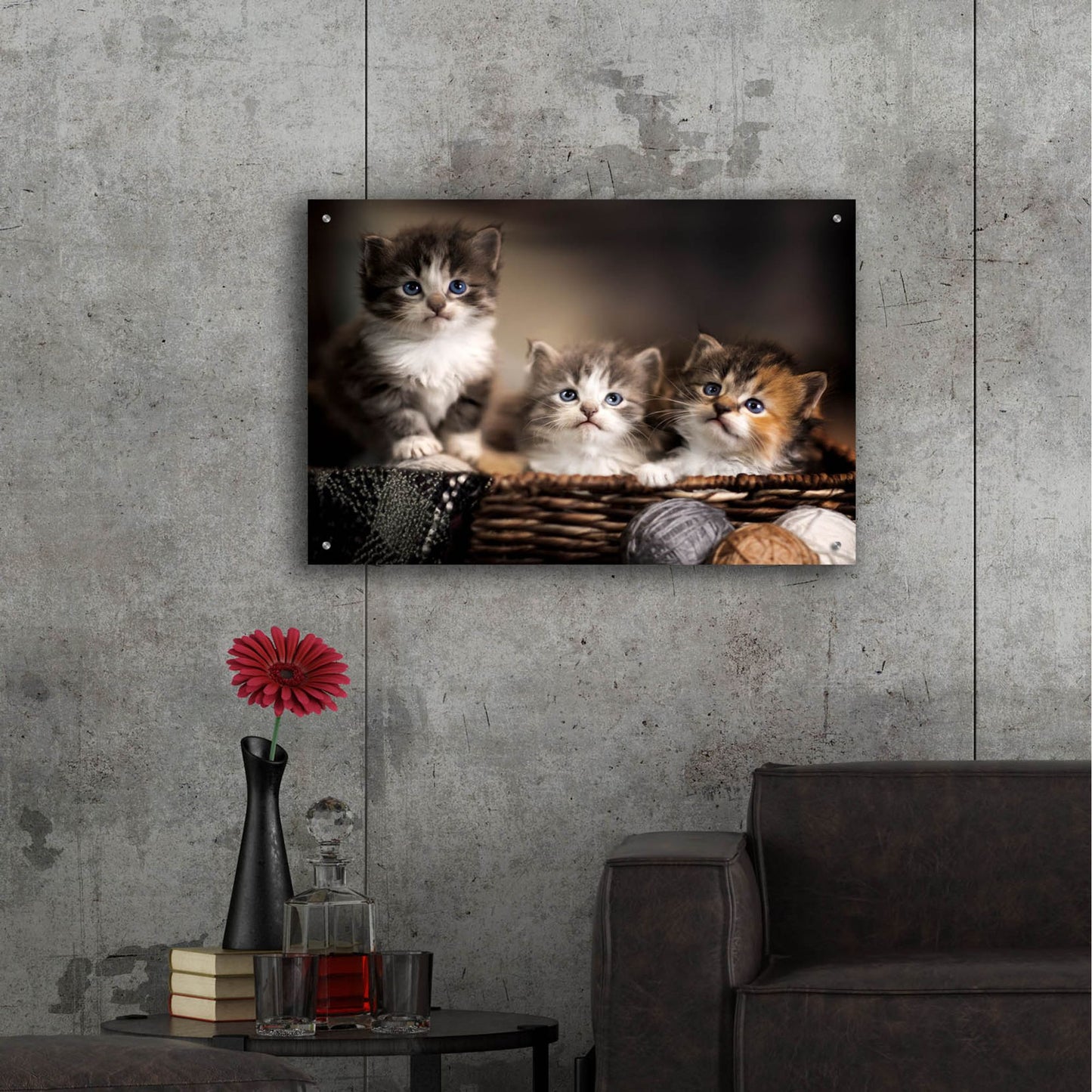 Epic Art 'Three Kittens' by Jonathan Ross, Acrylic Glass Wall Art,36x24