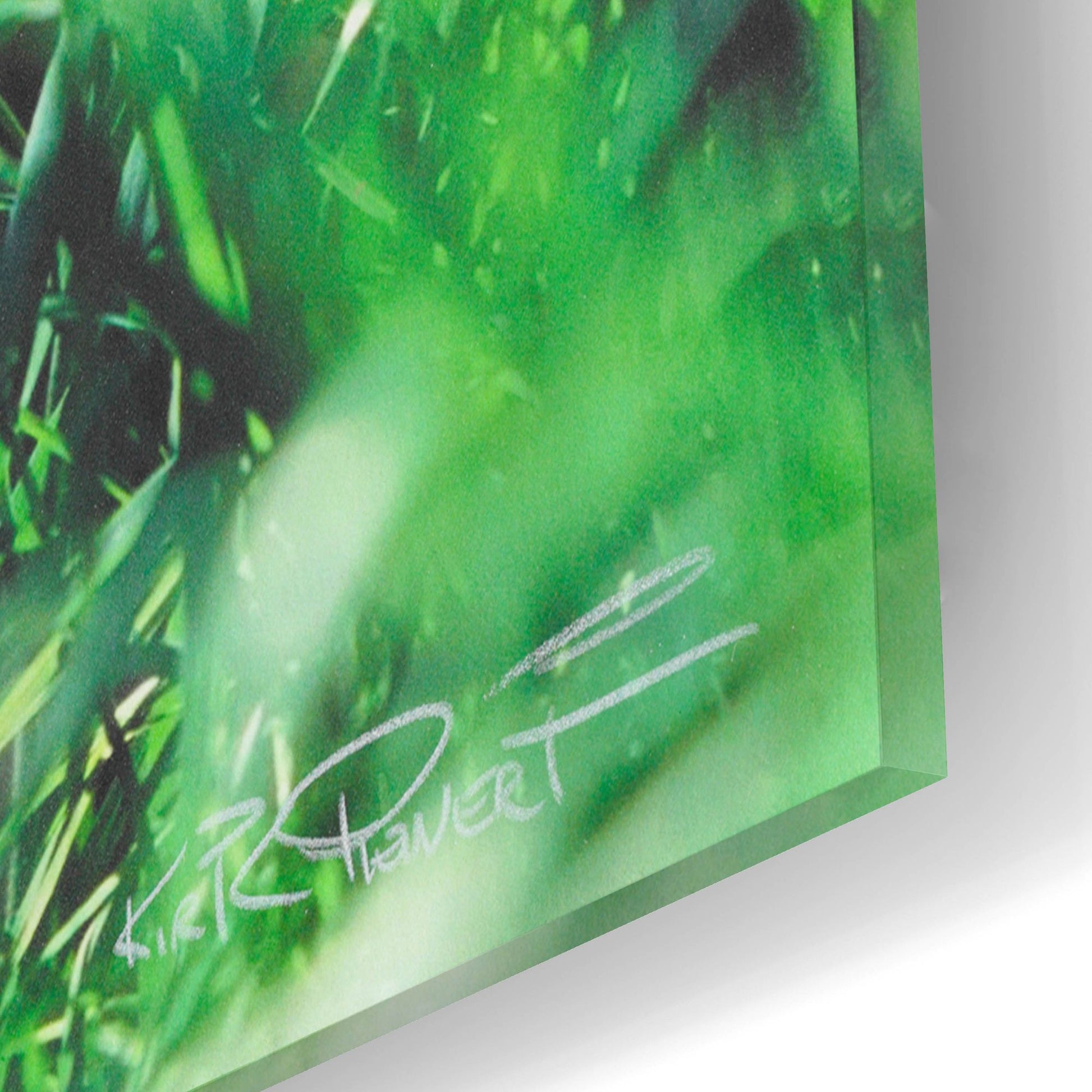 Epic Art 'Lost Baby' by Kirk Reinert, Acrylic Glass Wall Art,16x12