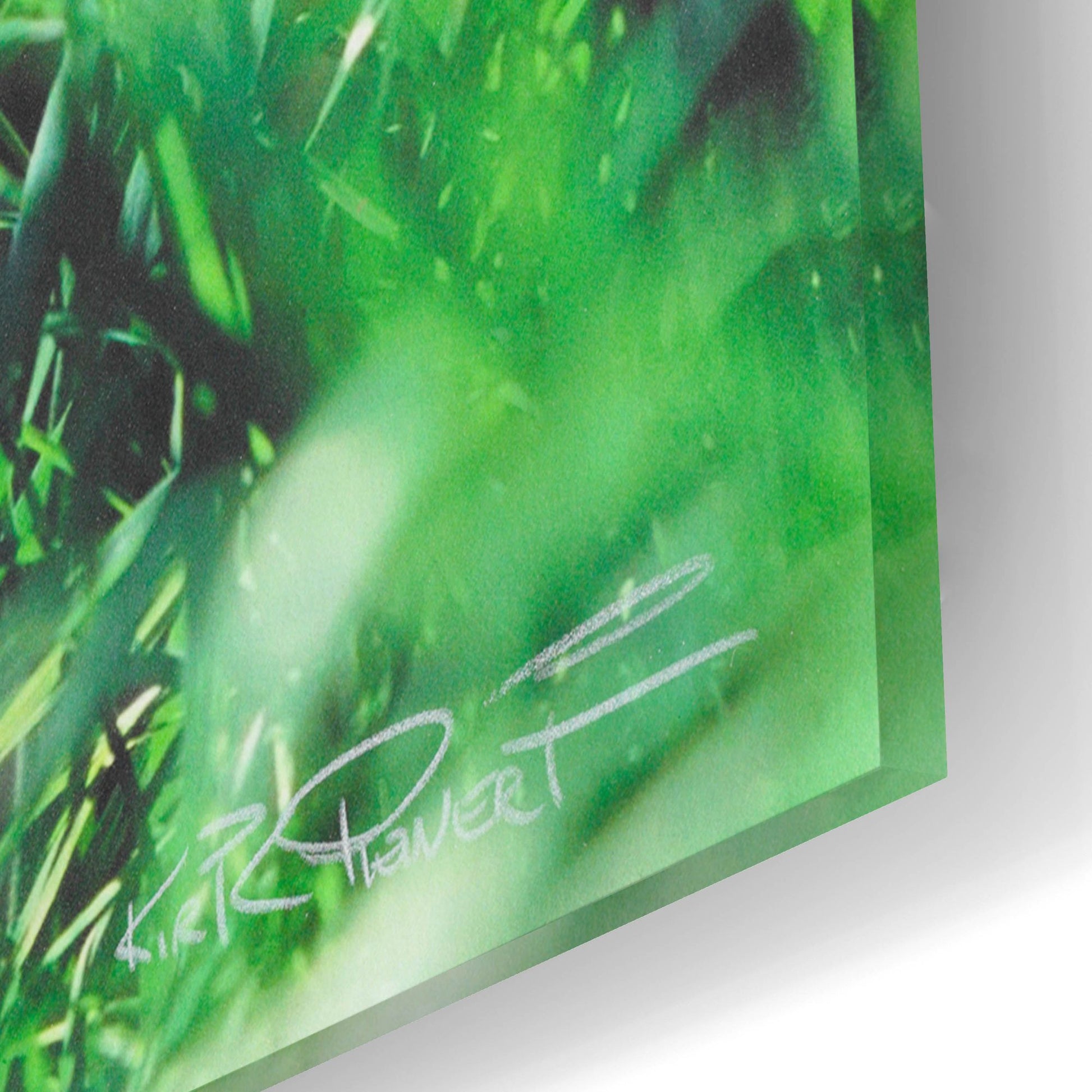 Epic Art 'Lost Baby' by Kirk Reinert, Acrylic Glass Wall Art,24x16