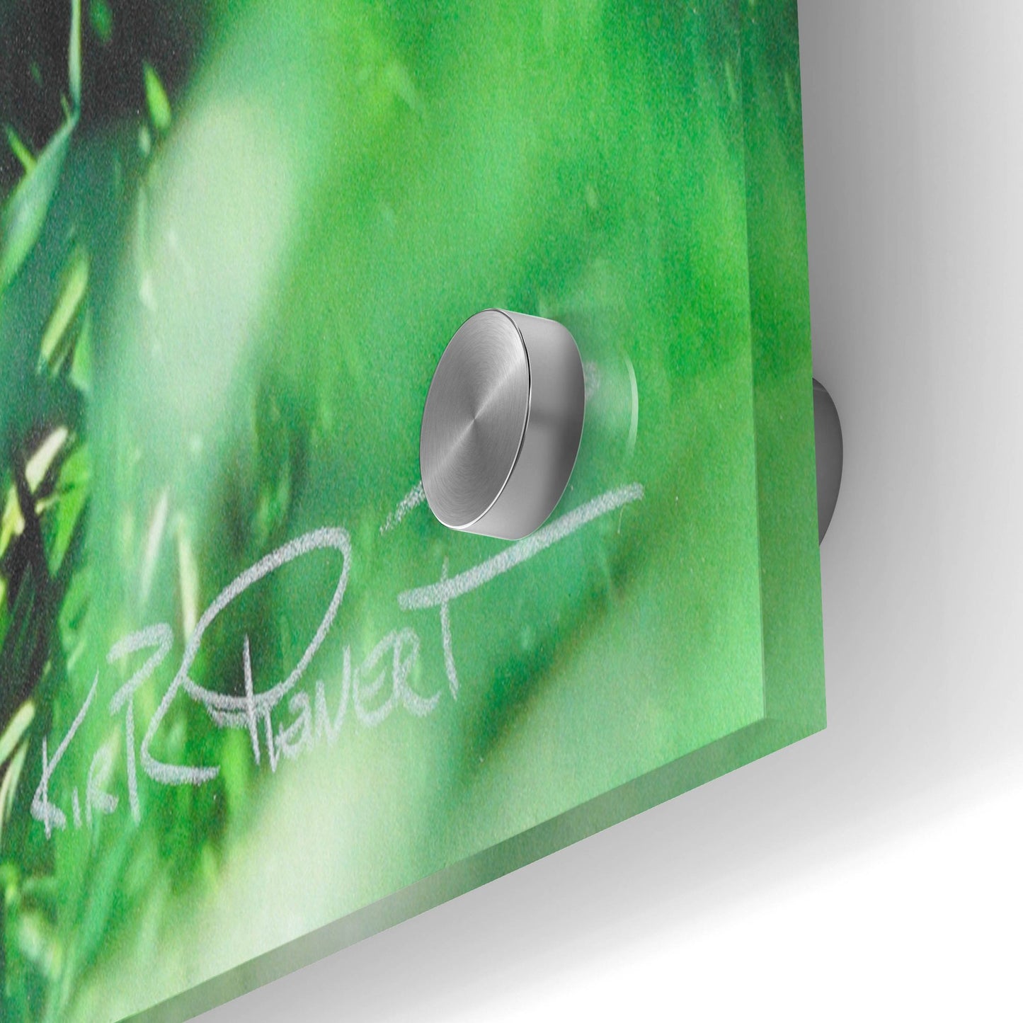 Epic Art 'Lost Baby' by Kirk Reinert, Acrylic Glass Wall Art,36x24