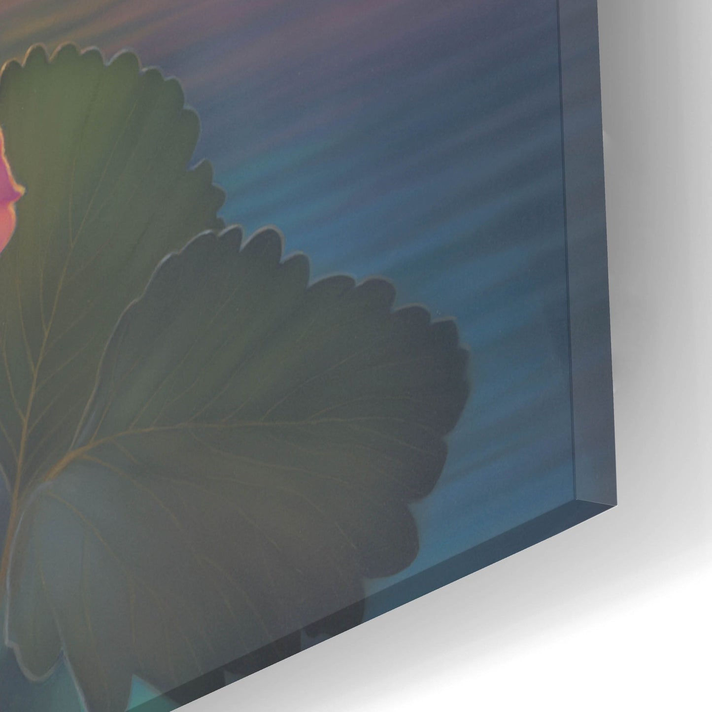 Epic Art 'Child Of Light L' by Kirk Reinert, Acrylic Glass Wall Art,16x24