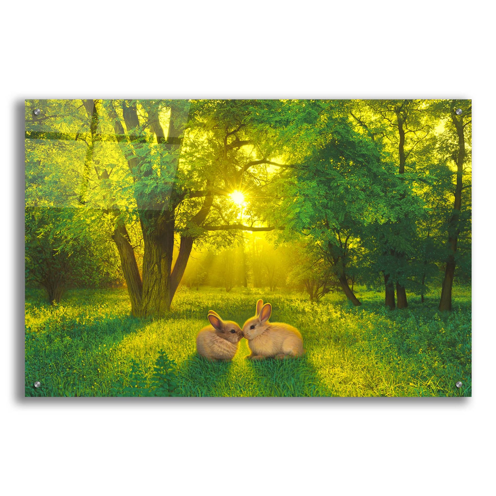 Epic Art 'Summer Love' by Kirk Reinert, Acrylic Glass Wall Art,36x24