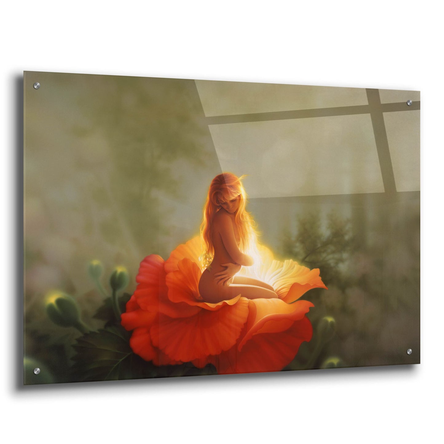 Epic Art 'First Light' by Kirk Reinert, Acrylic Glass Wall Art,36x24