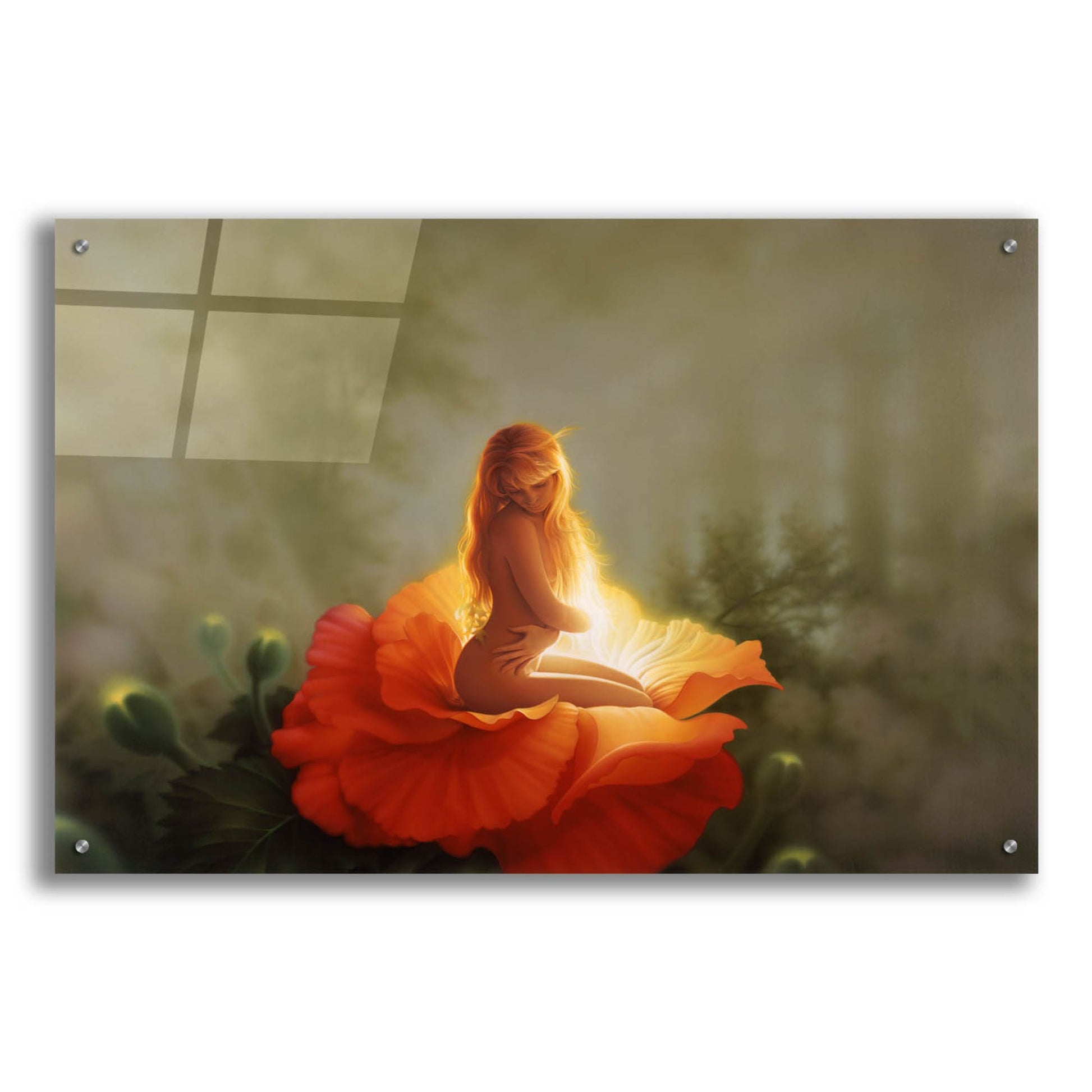 Epic Art 'First Light' by Kirk Reinert, Acrylic Glass Wall Art,36x24