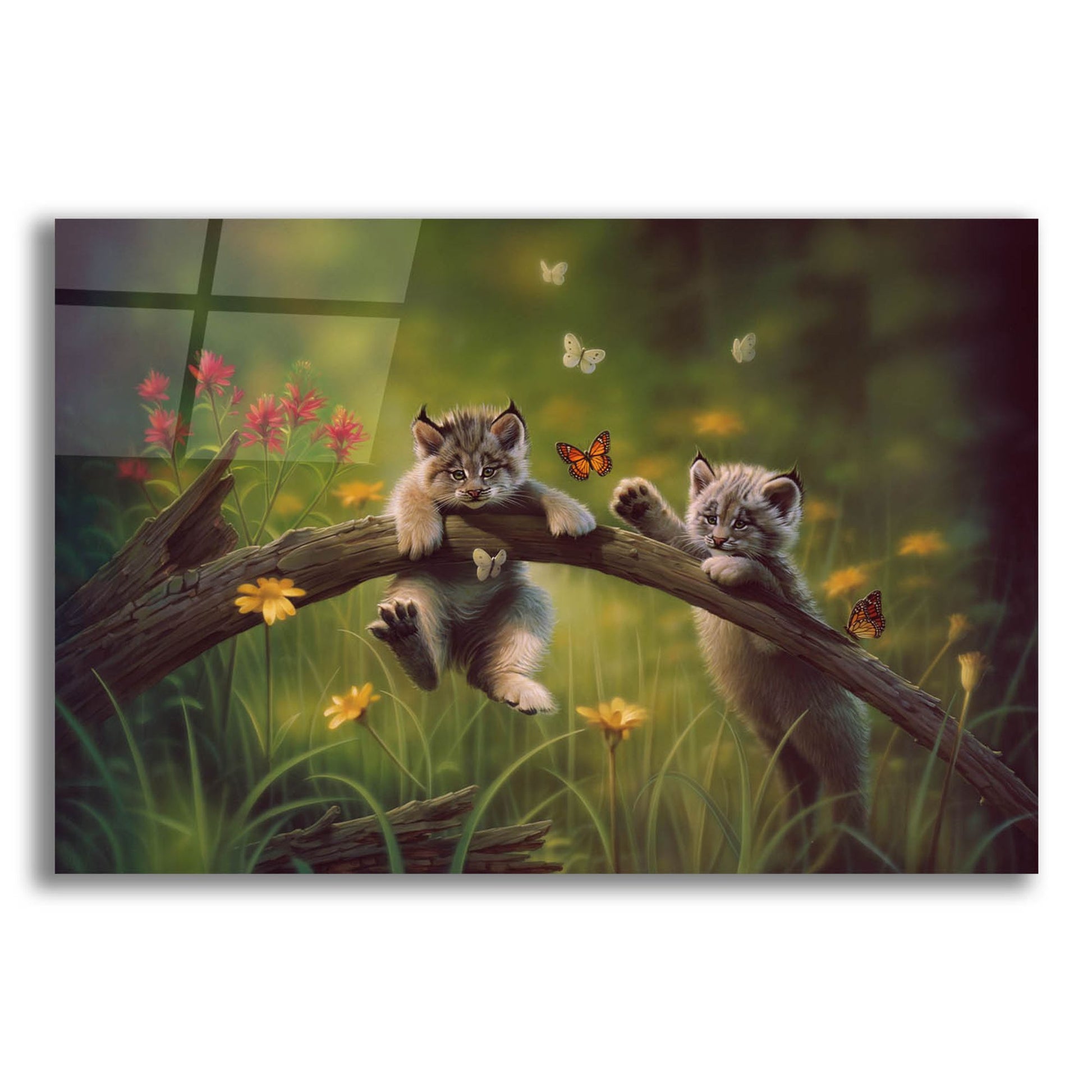 Epic Art 'Kittyland' by Kirk Reinert, Acrylic Glass Wall Art