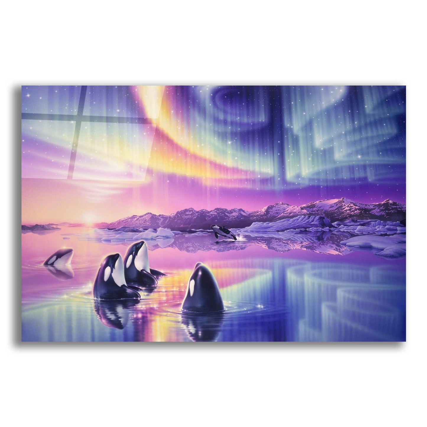 Epic Art 'Morning Song' by Kirk Reinert, Acrylic Glass Wall Art,16x12