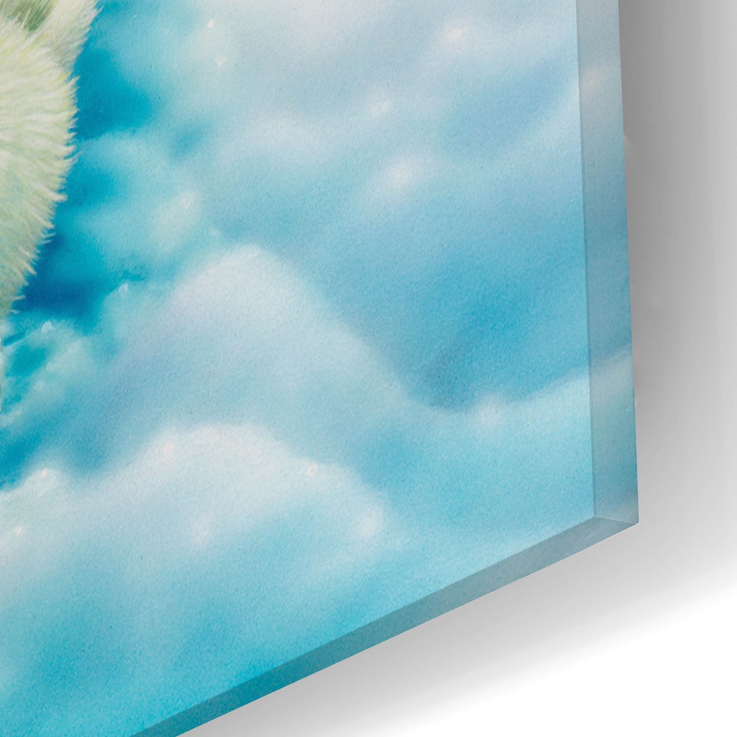Epic Art 'Snow Day' by Kirk Reinert, Acrylic Glass Wall Art,16x24