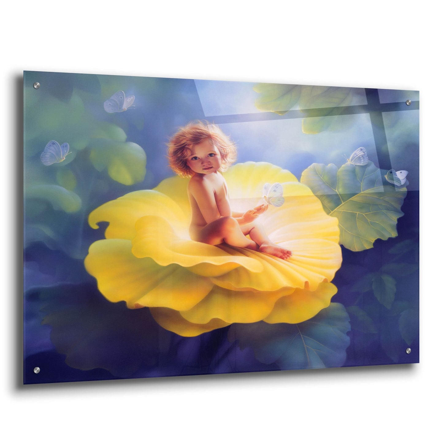 Epic Art 'Baby First Light' by Kirk Reinert, Acrylic Glass Wall Art,36x24