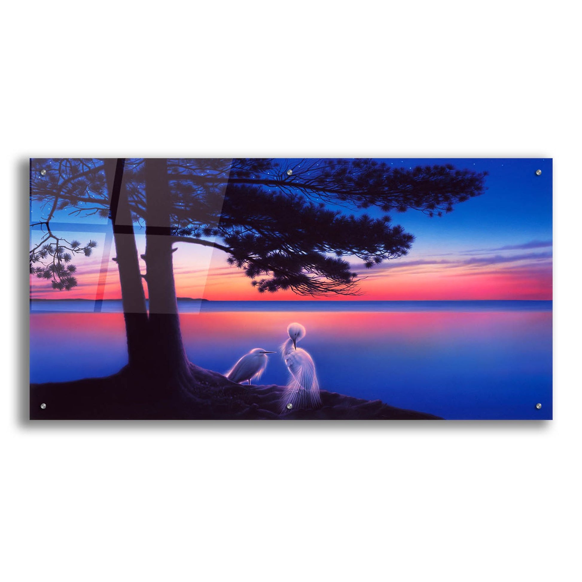 Epic Art 'Serenity' by Kirk Reinert, Acrylic Glass Wall Art,48x24