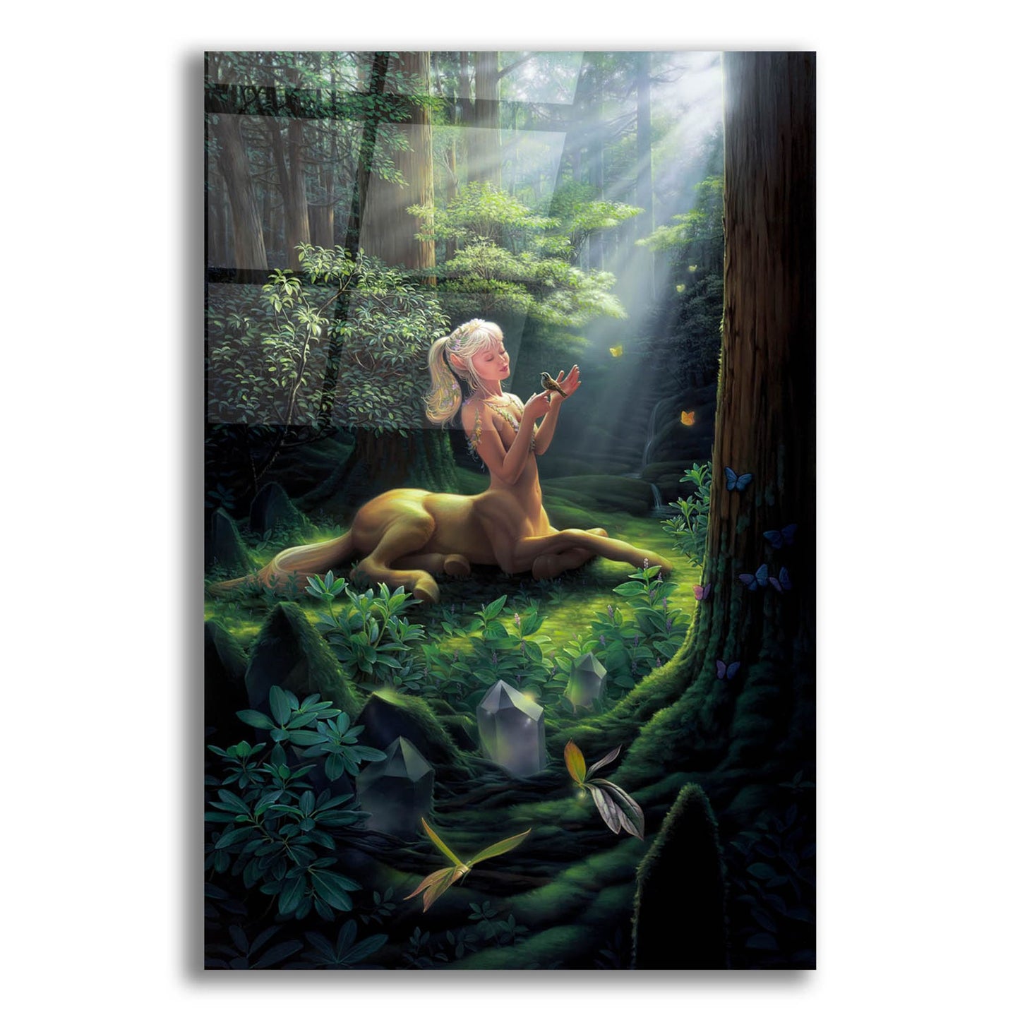 Epic Art 'Forest Princess' by Kirk Reinert, Acrylic Glass Wall Art,12x16