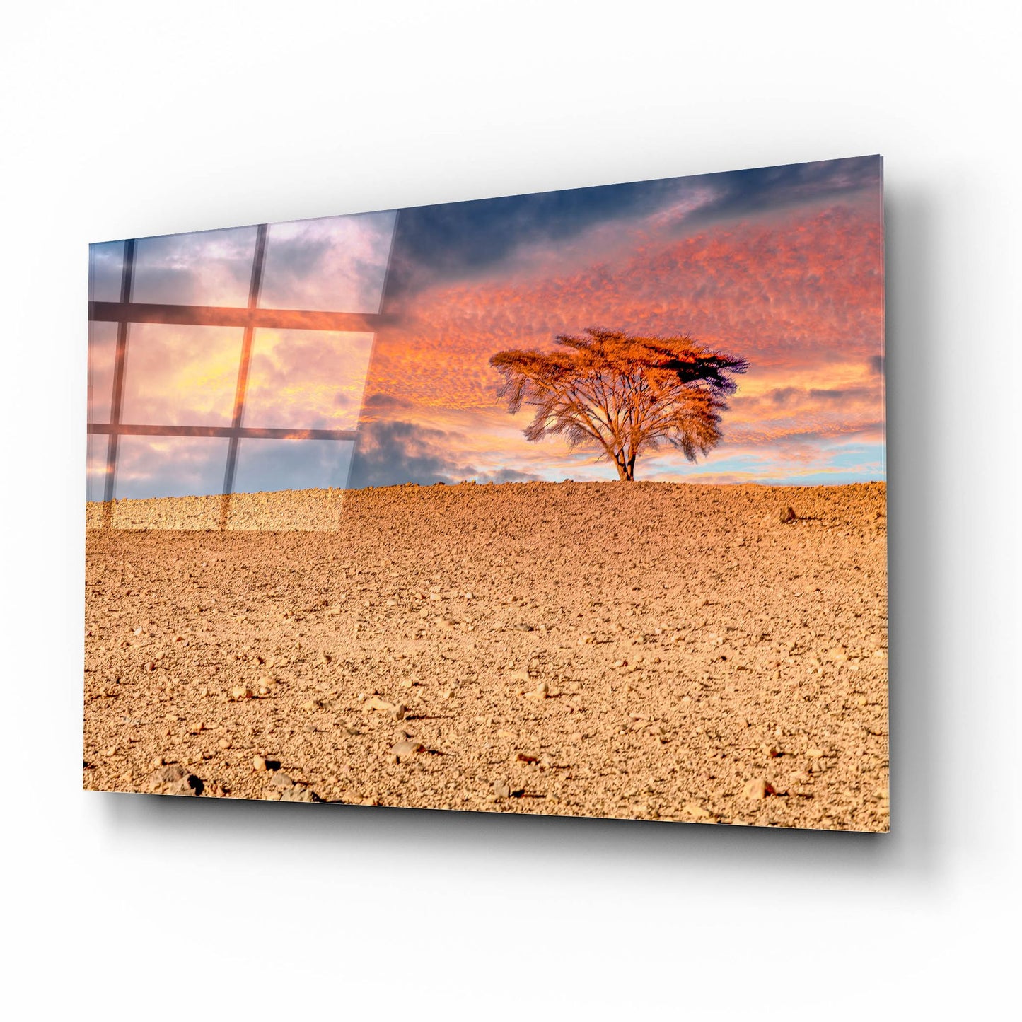 Epic Art 'Sahara Desert Beauty' by Mark A Paulda, Acrylic Glass Wall Art,16x12