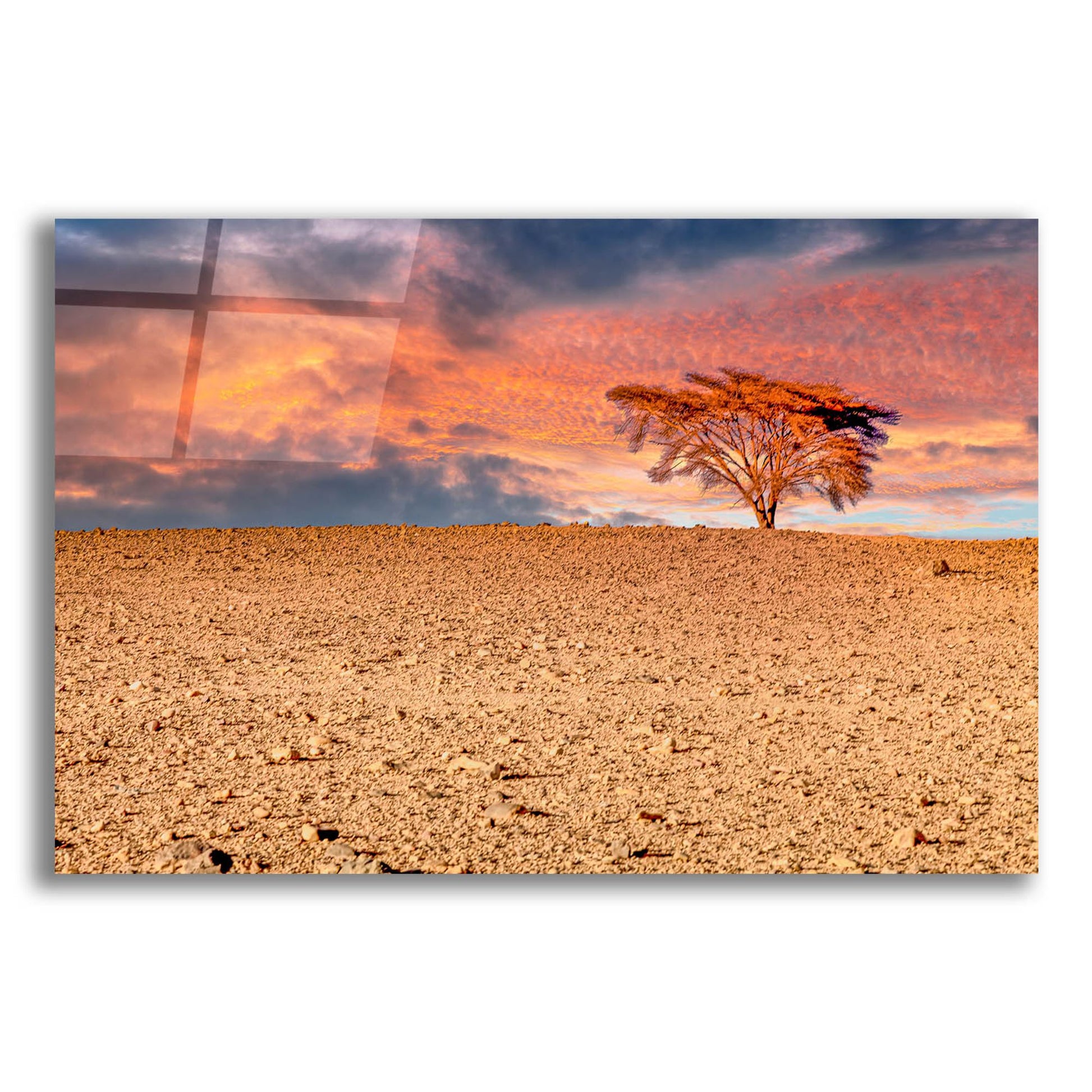 Epic Art 'Sahara Desert Beauty' by Mark A Paulda, Acrylic Glass Wall Art,16x12