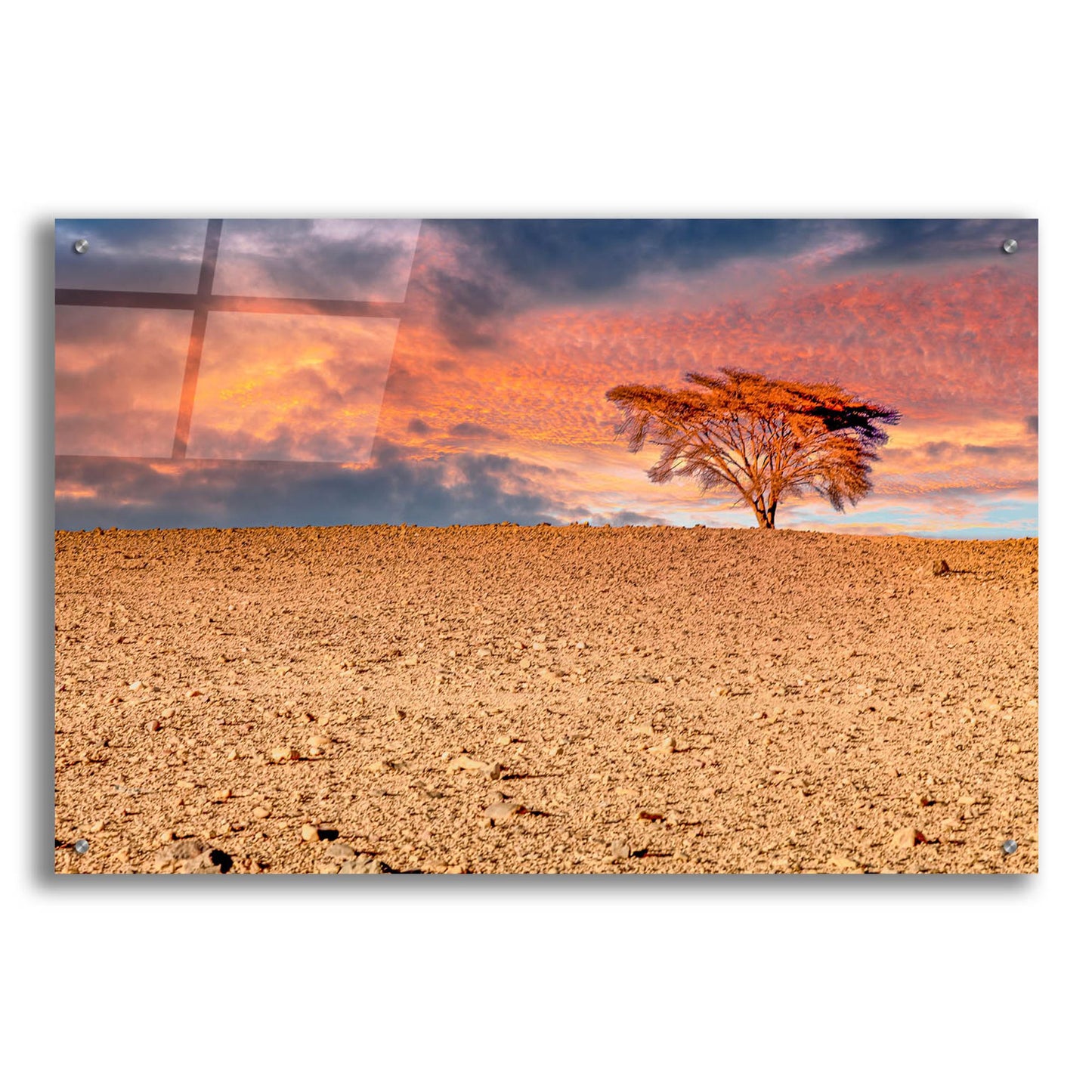 Epic Art 'Sahara Desert Beauty' by Mark A Paulda, Acrylic Glass Wall Art,36x24