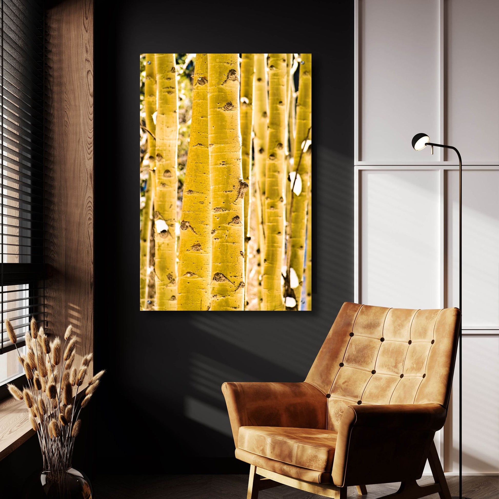 Epic Art 'Aspen Trunks' by Mark A Paulda, Acrylic Glass Wall Art,24x36