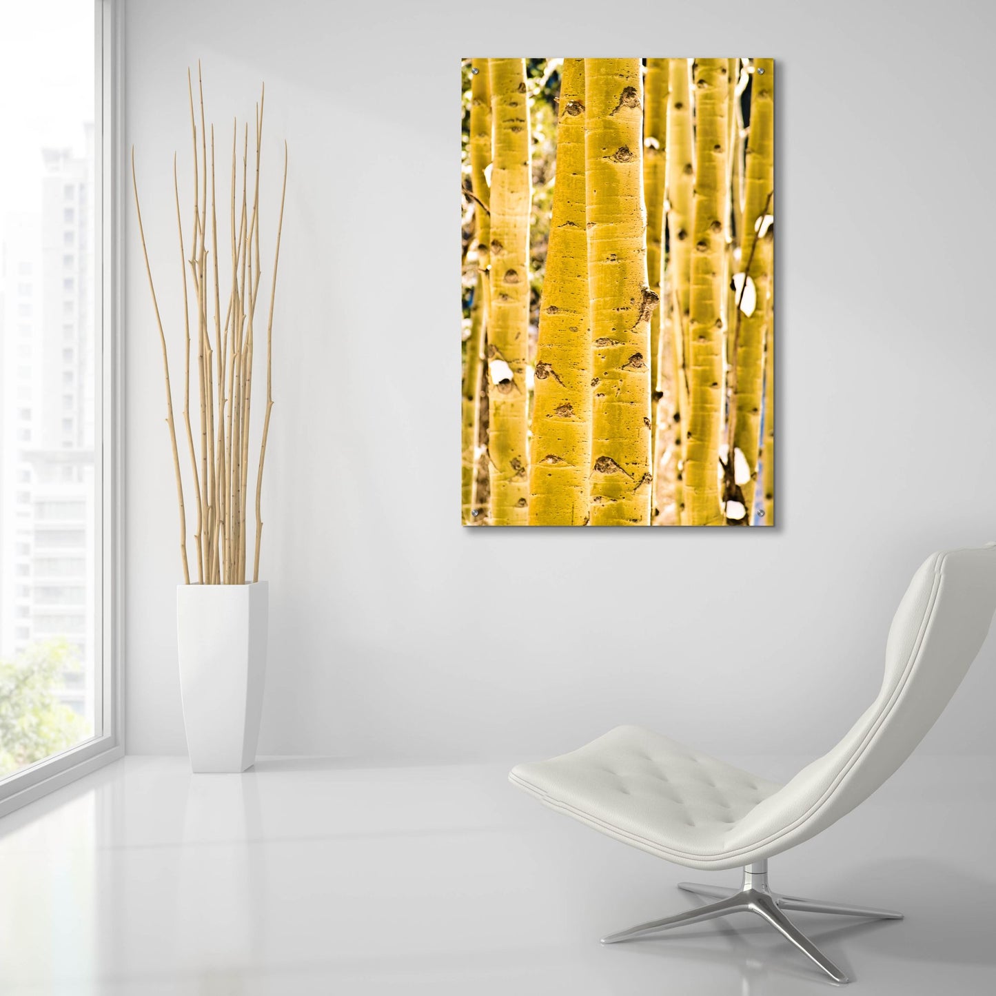 Epic Art 'Aspen Trunks' by Mark A Paulda, Acrylic Glass Wall Art,24x36