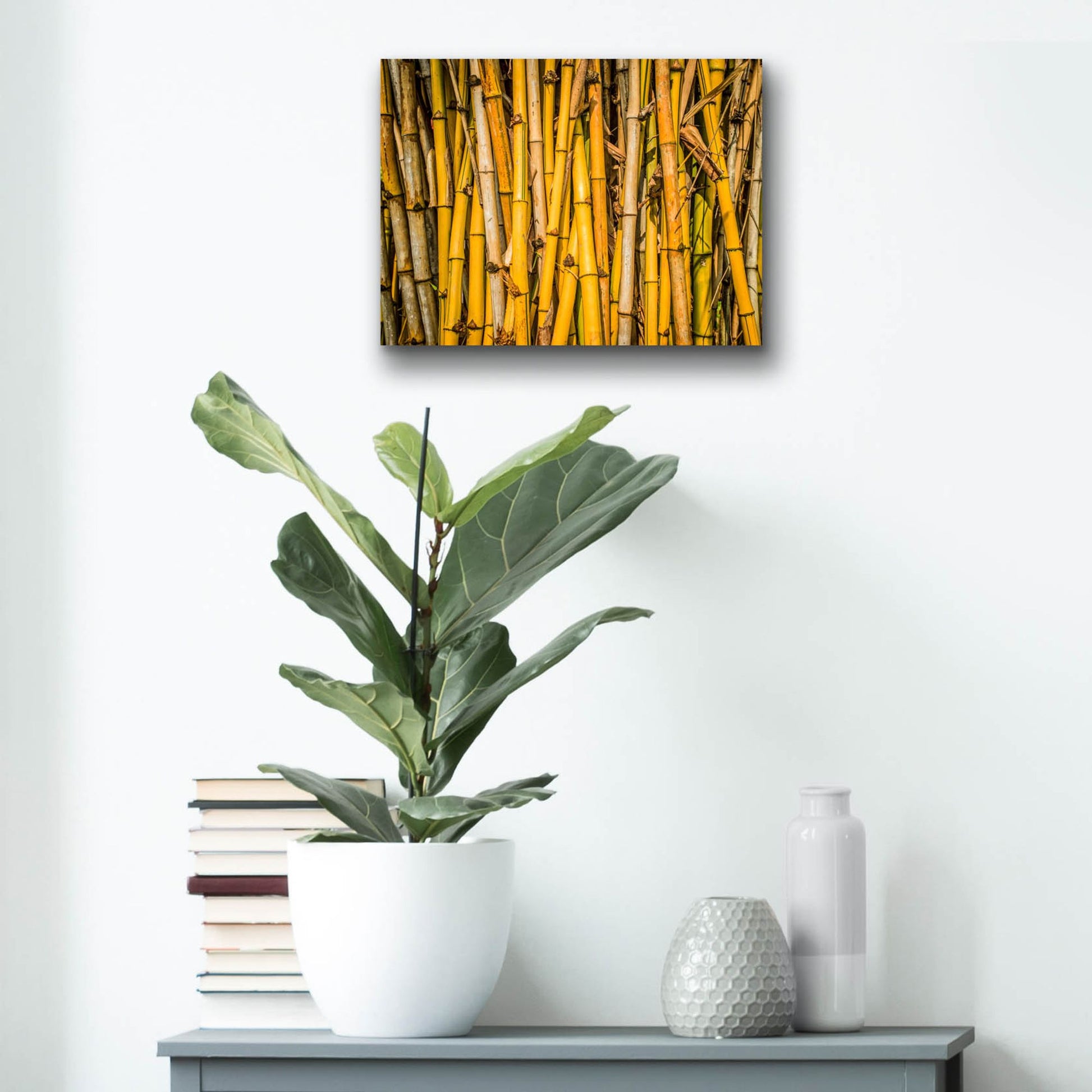 Epic Art 'Bamboo' by Mark A Paulda, Acrylic Glass Wall Art,16x12