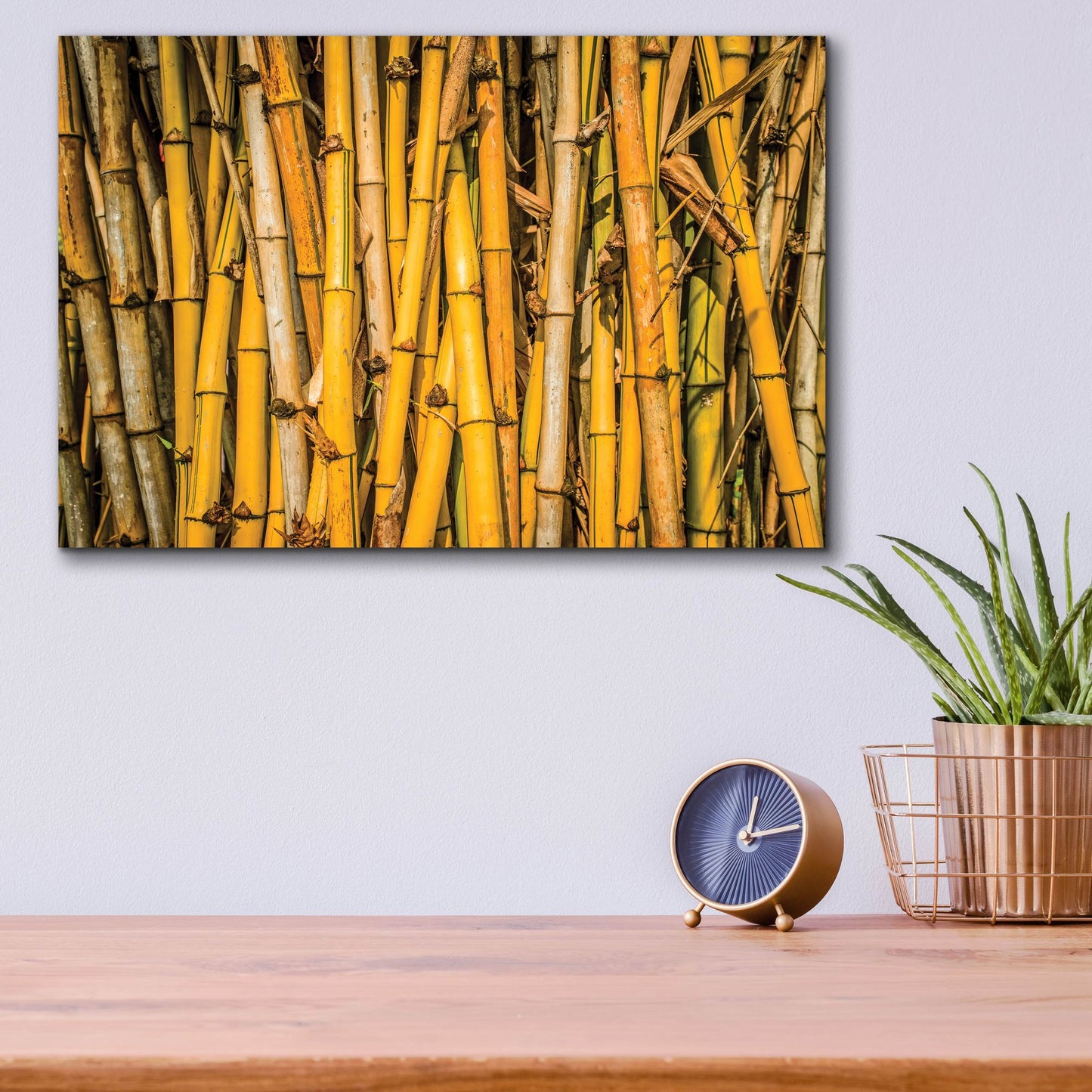 Epic Art 'Bamboo' by Mark A Paulda, Acrylic Glass Wall Art,16x12