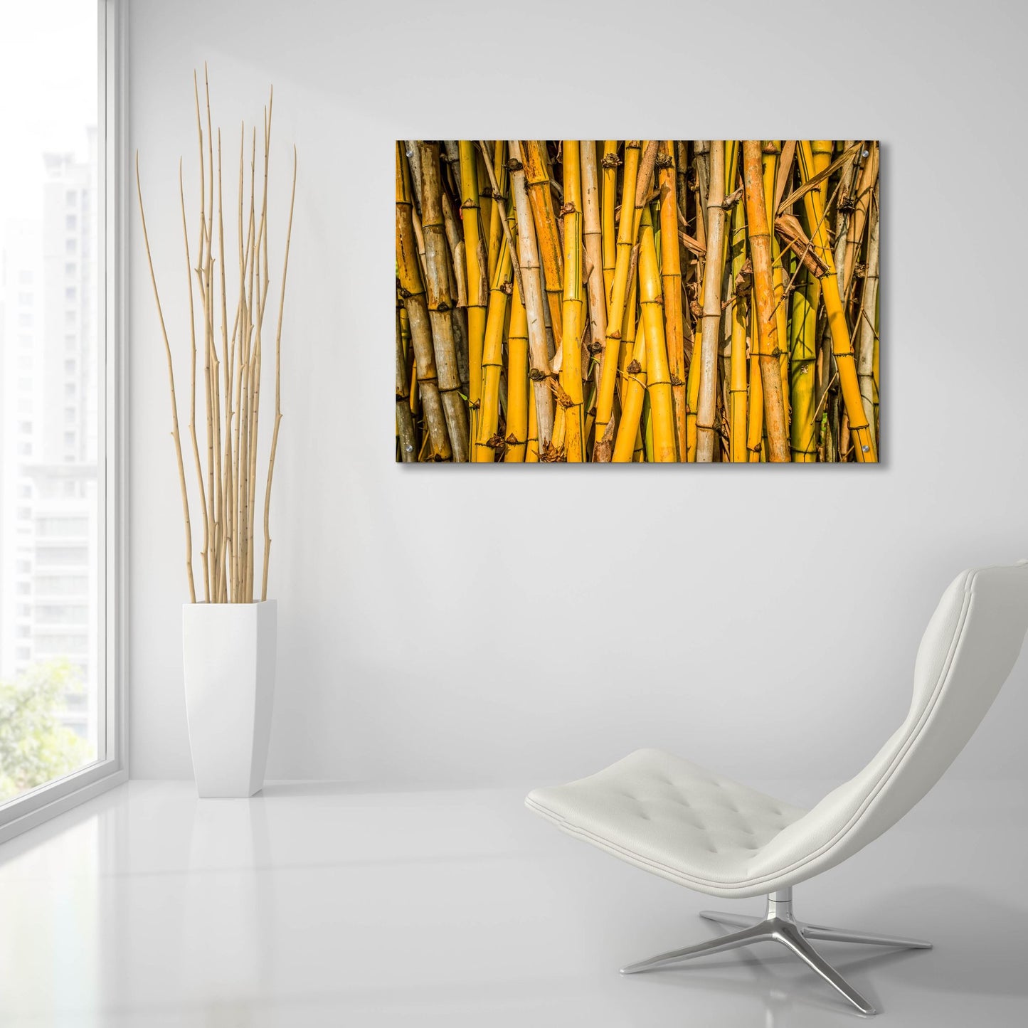 Epic Art 'Bamboo' by Mark A Paulda, Acrylic Glass Wall Art,36x24