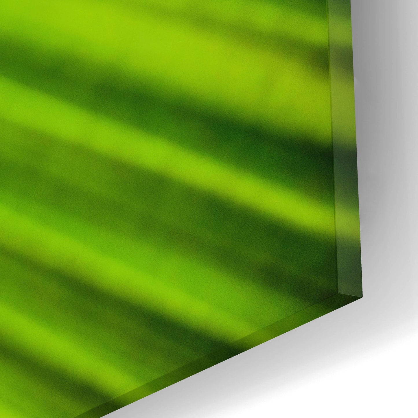 Epic Art 'Green Palm Frond' by Mark A Paulda, Acrylic Glass Wall Art,16x12